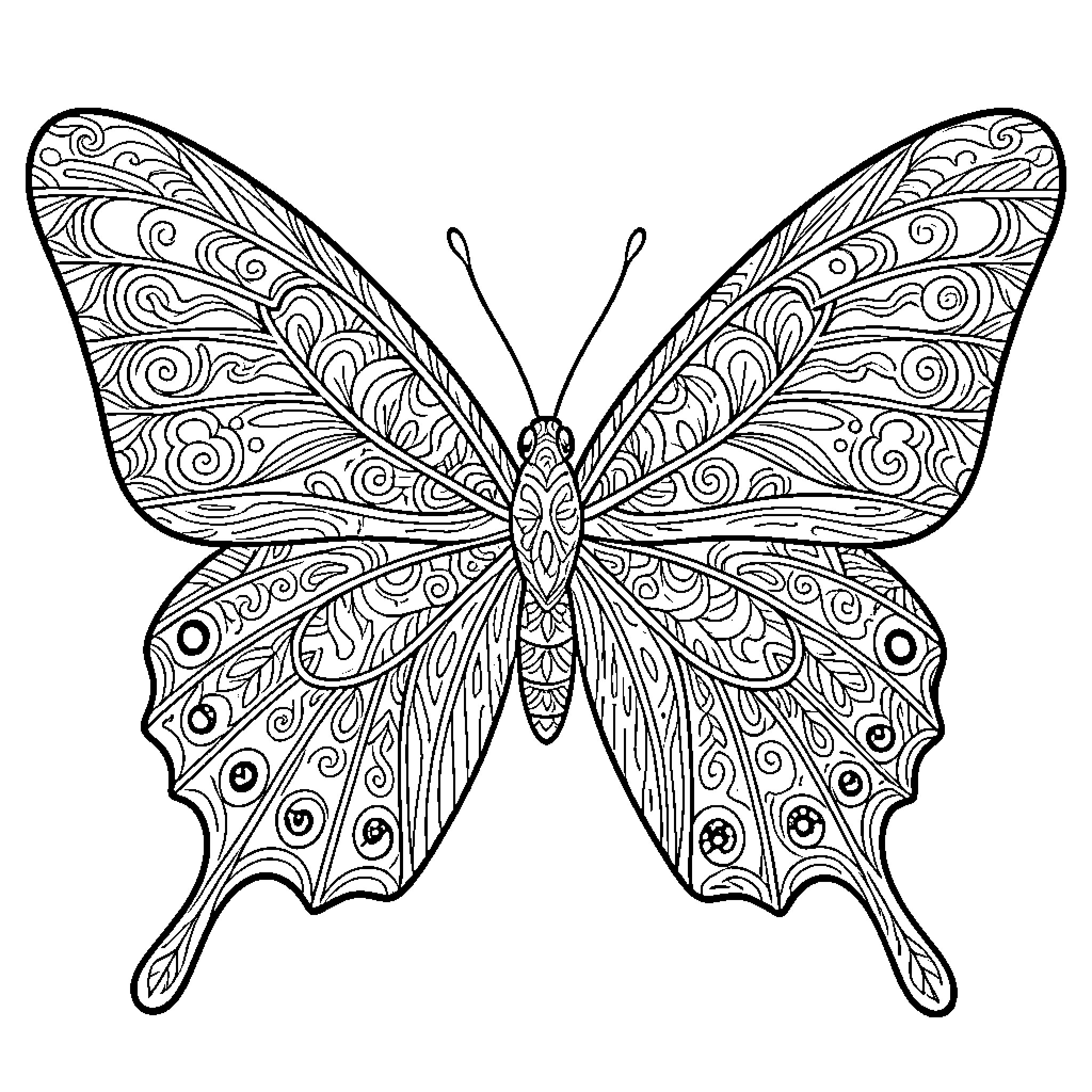 Butterfly showcasing intricate and swirling wing patterns Coloring Page (free black-and-white line drawing printable PDF for all, from beginners to advanced learners, including children, teens, adults, and seniors)