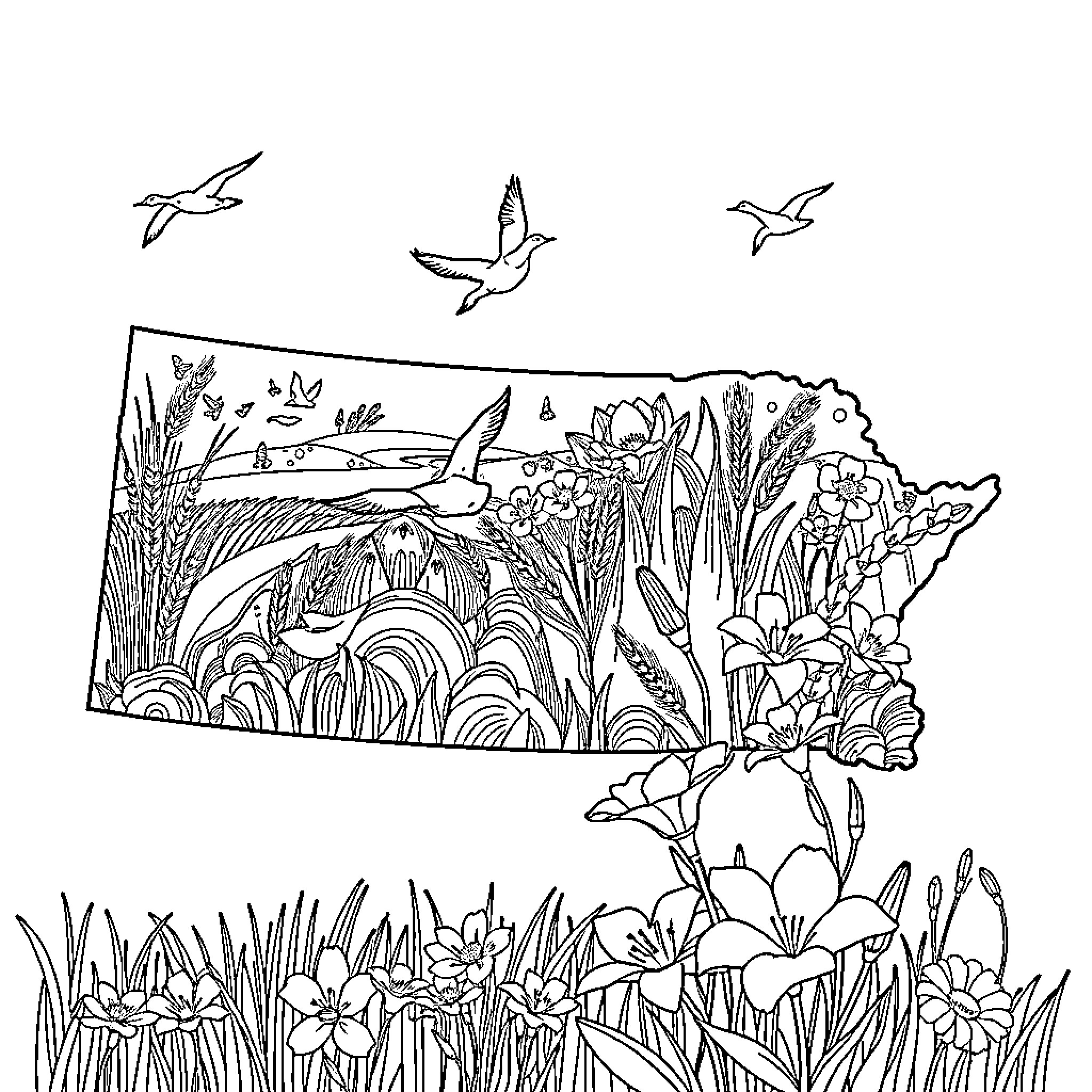 Saskatchewan Landscape with Flowers and Birds Coloring Page (free black-and-white line drawing printable PDF for all, from beginners to advanced learners, including children, teens, adults, and seniors)