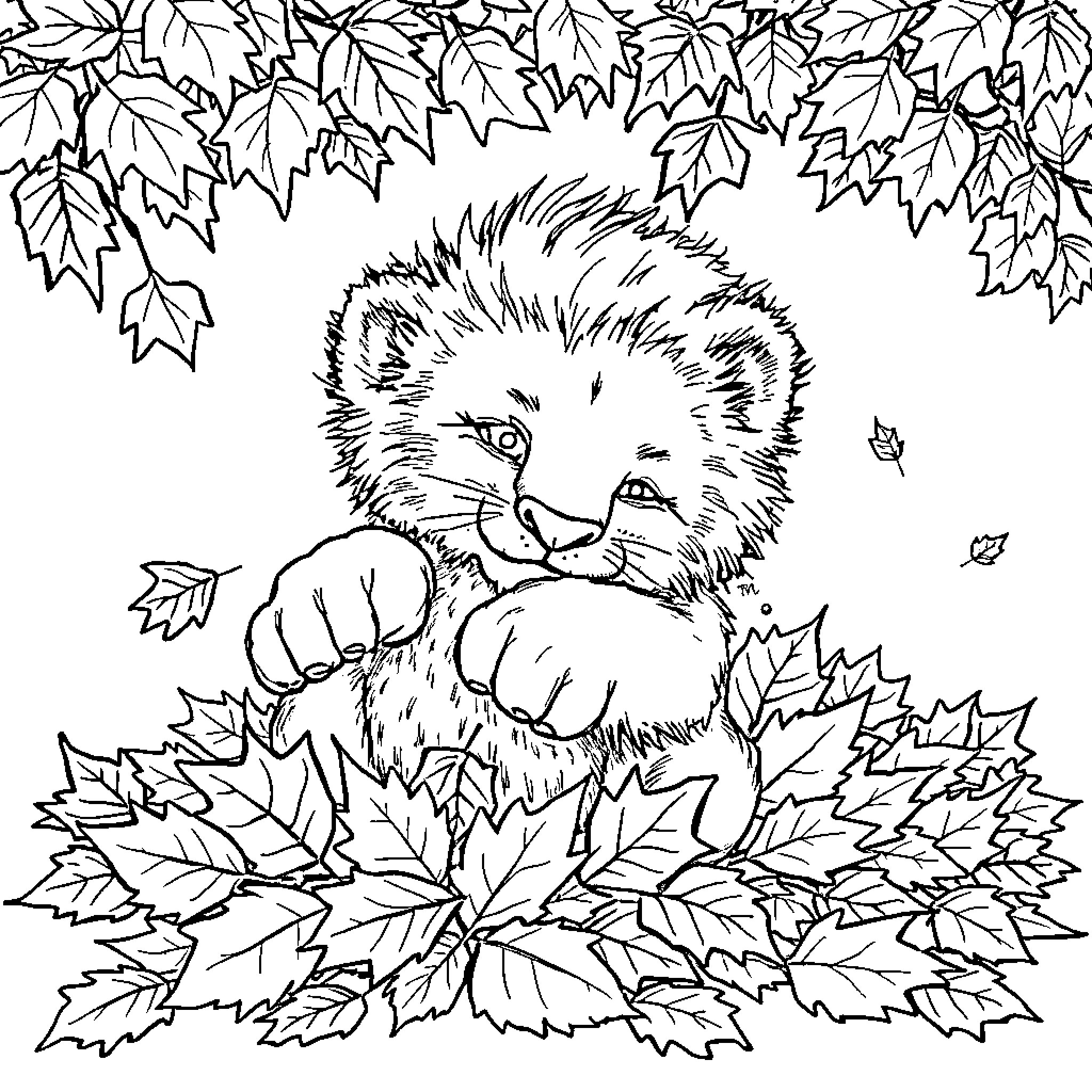 Lion Cub Exploring Autumn Leaves Coloring Page (free black-and-white line drawing printable PDF for all, from beginners to advanced learners, including children, teens, adults, and seniors)