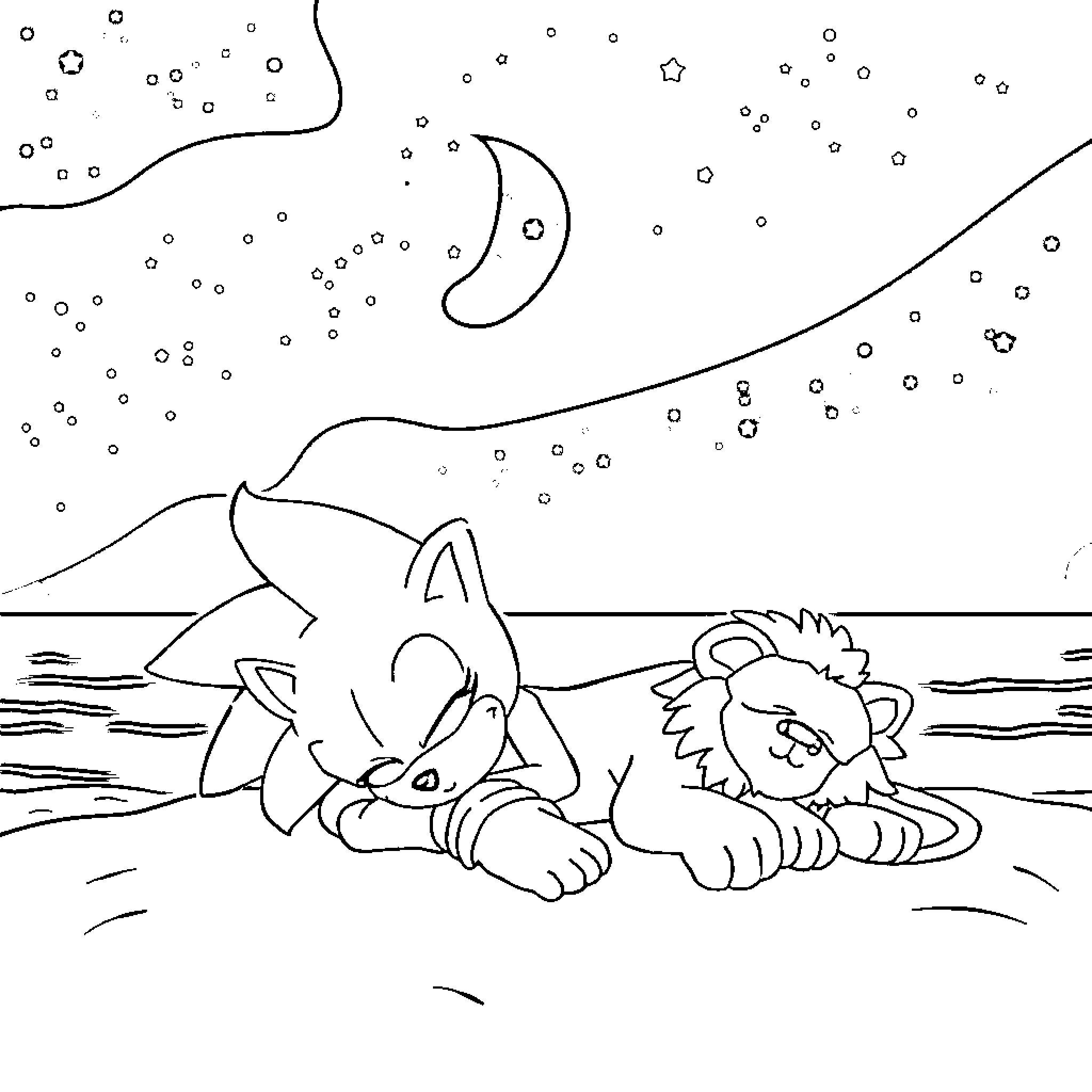 Sonic characters relaxing under the starry night sky Coloring Page (free black-and-white line drawing printable PDF for all, from beginners to advanced learners, including children, teens, adults, and seniors)