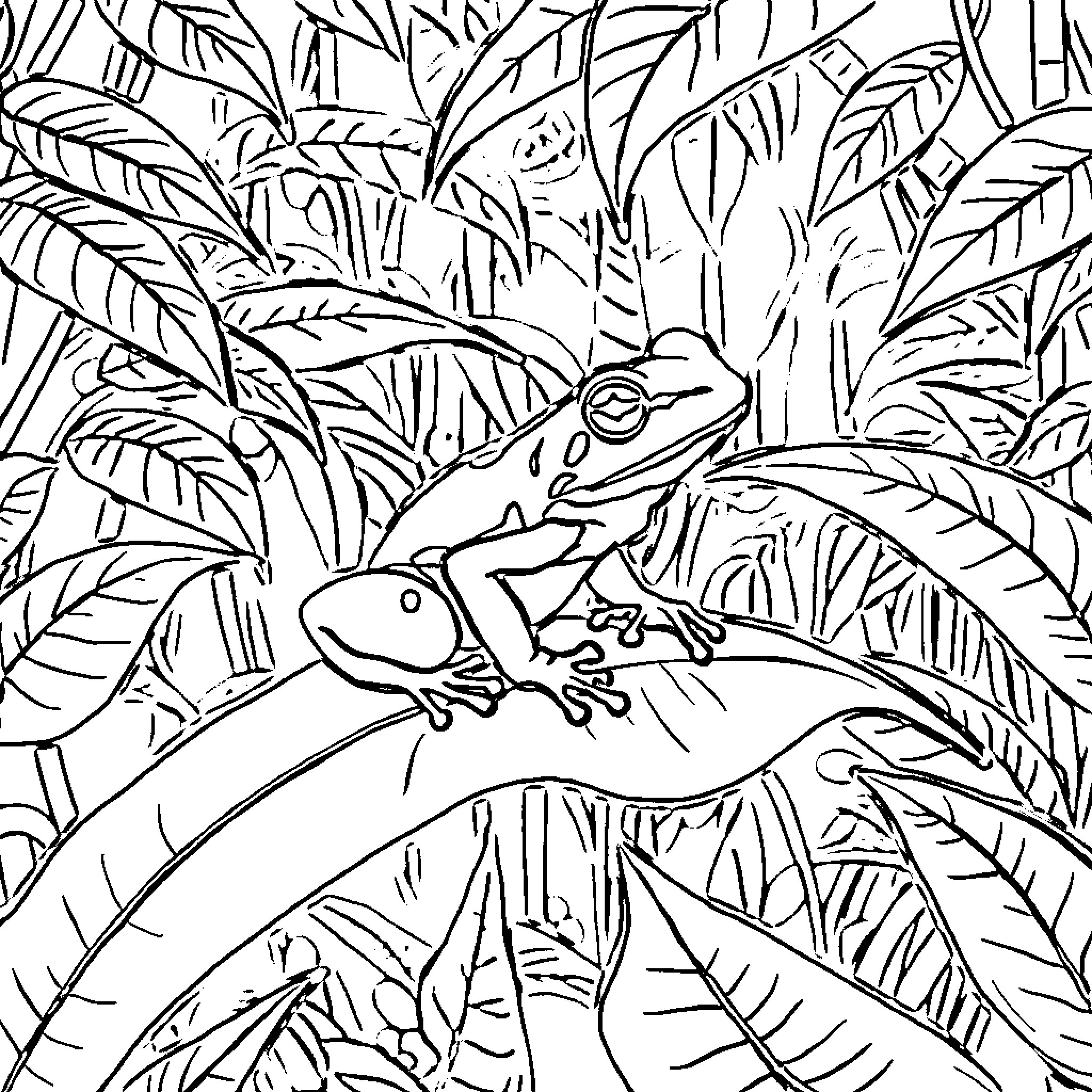 Coqui frog exploring lush tropical foliage Coloring Page (free black-and-white line drawing printable PDF for all, from beginners to advanced learners, including children, teens, adults, and seniors)
