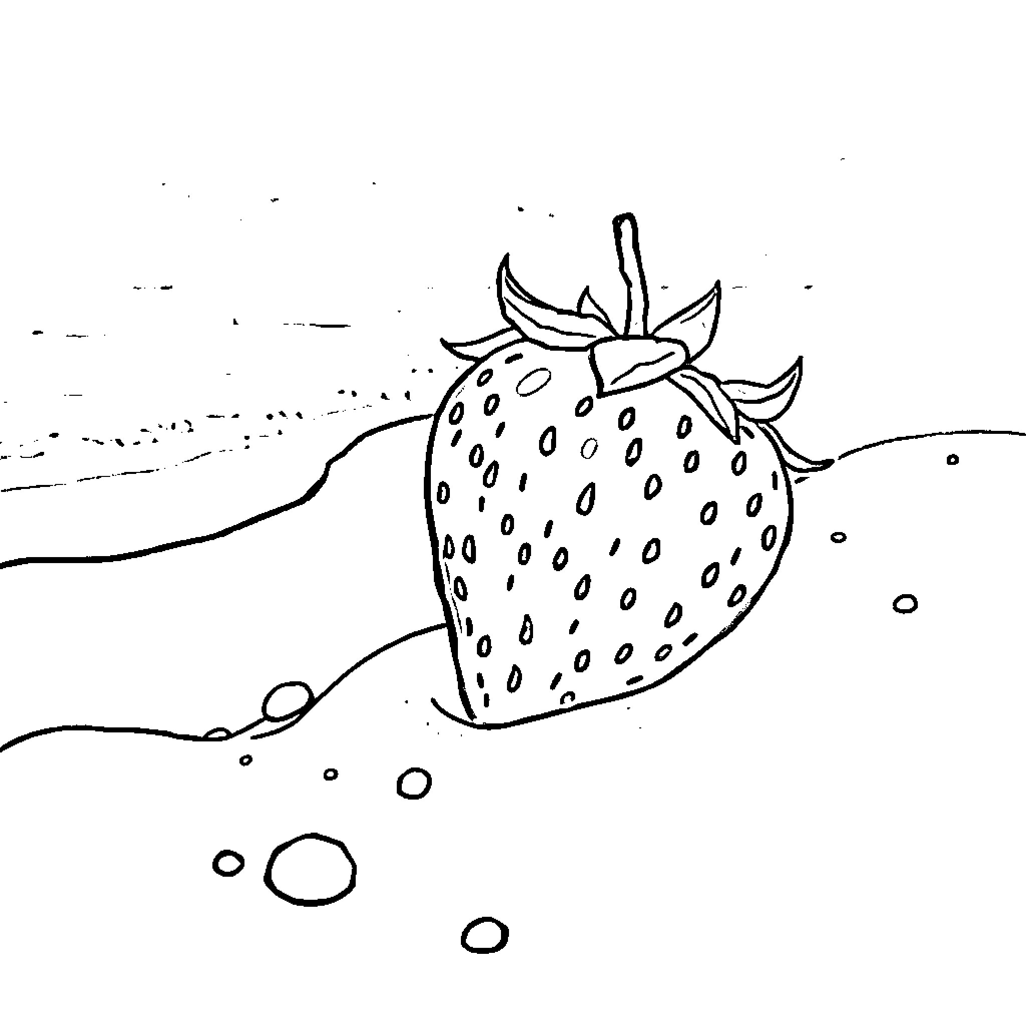 Strawberry sketch in artistic style Coloring Page (free black-and-white line drawing printable PDF for all, from beginners to advanced learners, including children, teens, adults, and seniors)