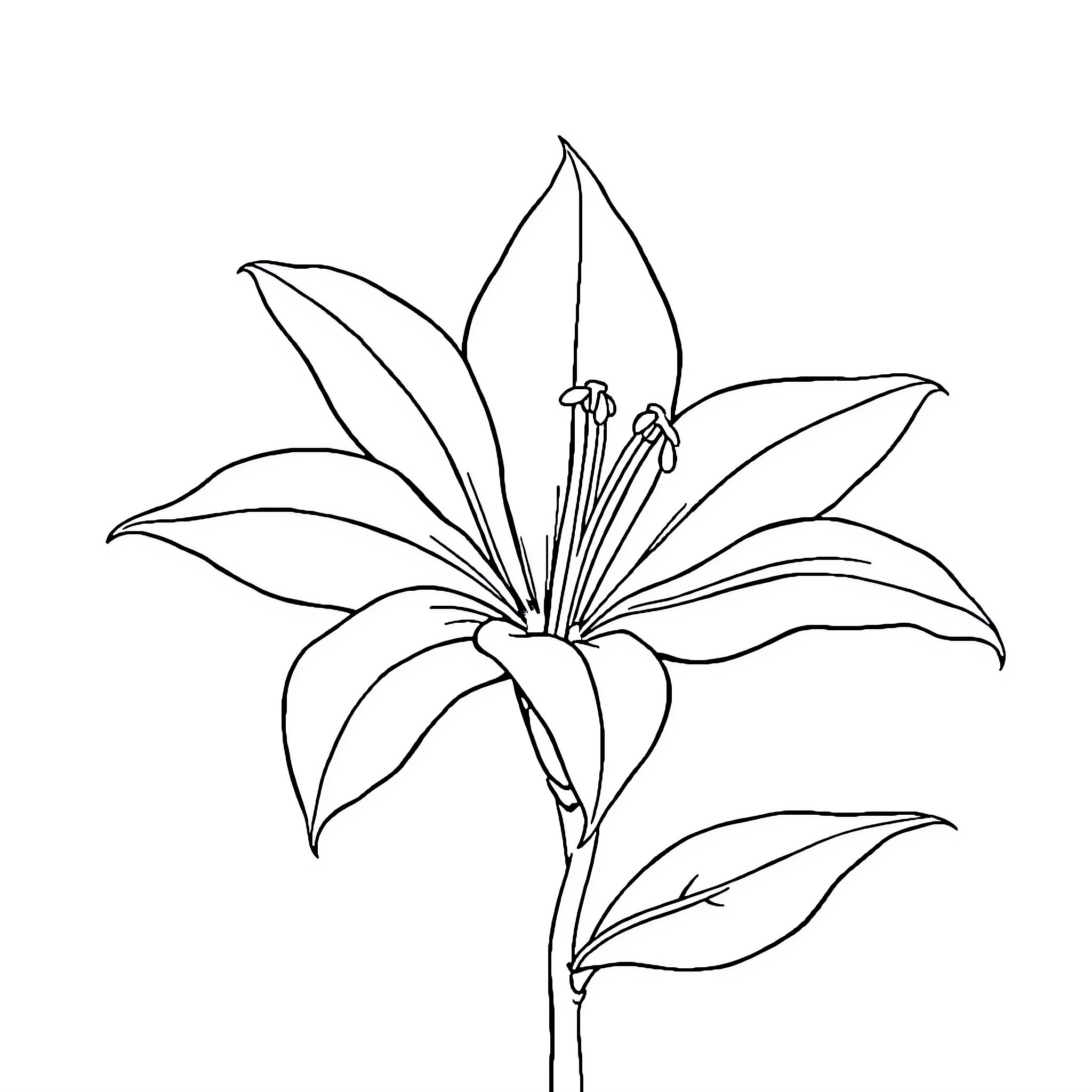 Flower with detailed petals and stamens Coloring Page (free black-and-white line drawing printable PDF for all, from beginners to advanced learners, including children, teens, adults, and seniors)