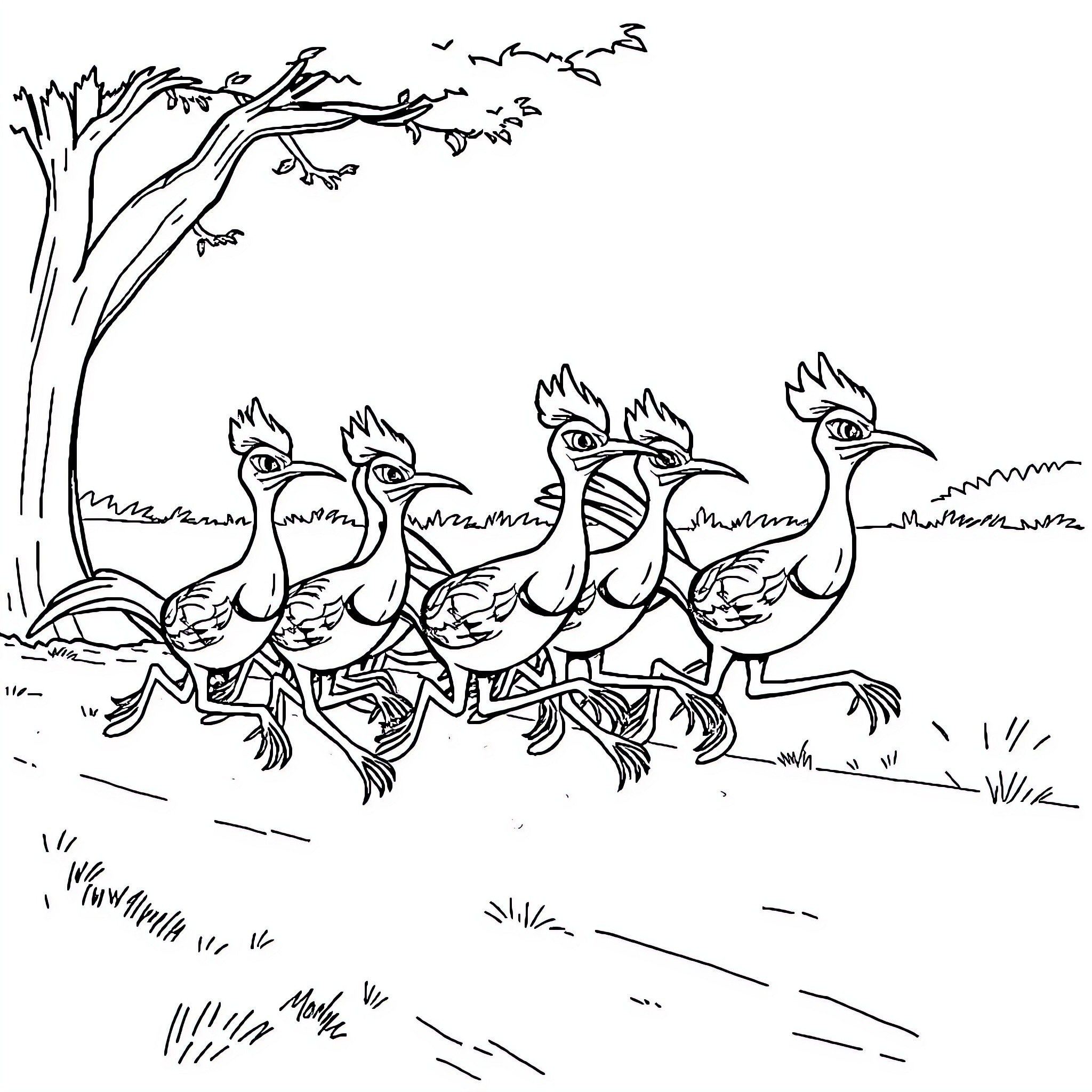 Roadrunner birds in comical formation Coloring Page (free black-and-white line drawing printable PDF for all, from beginners to advanced learners, including children, teens, adults, and seniors)