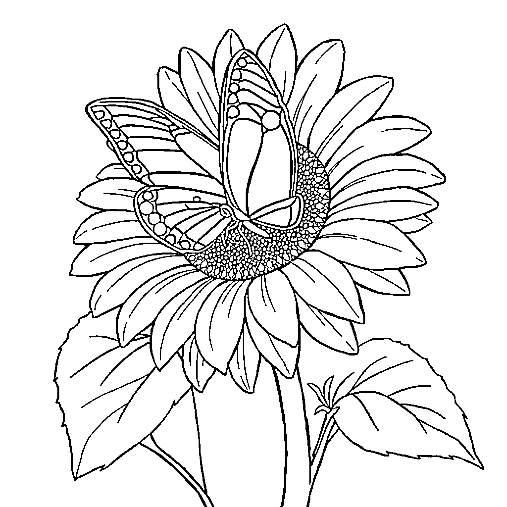Butterfly on sunflower-like flower Coloring Page (free black-and-white line drawing printable PDF for all, from beginners to advanced learners, including children, teens, adults, and seniors)