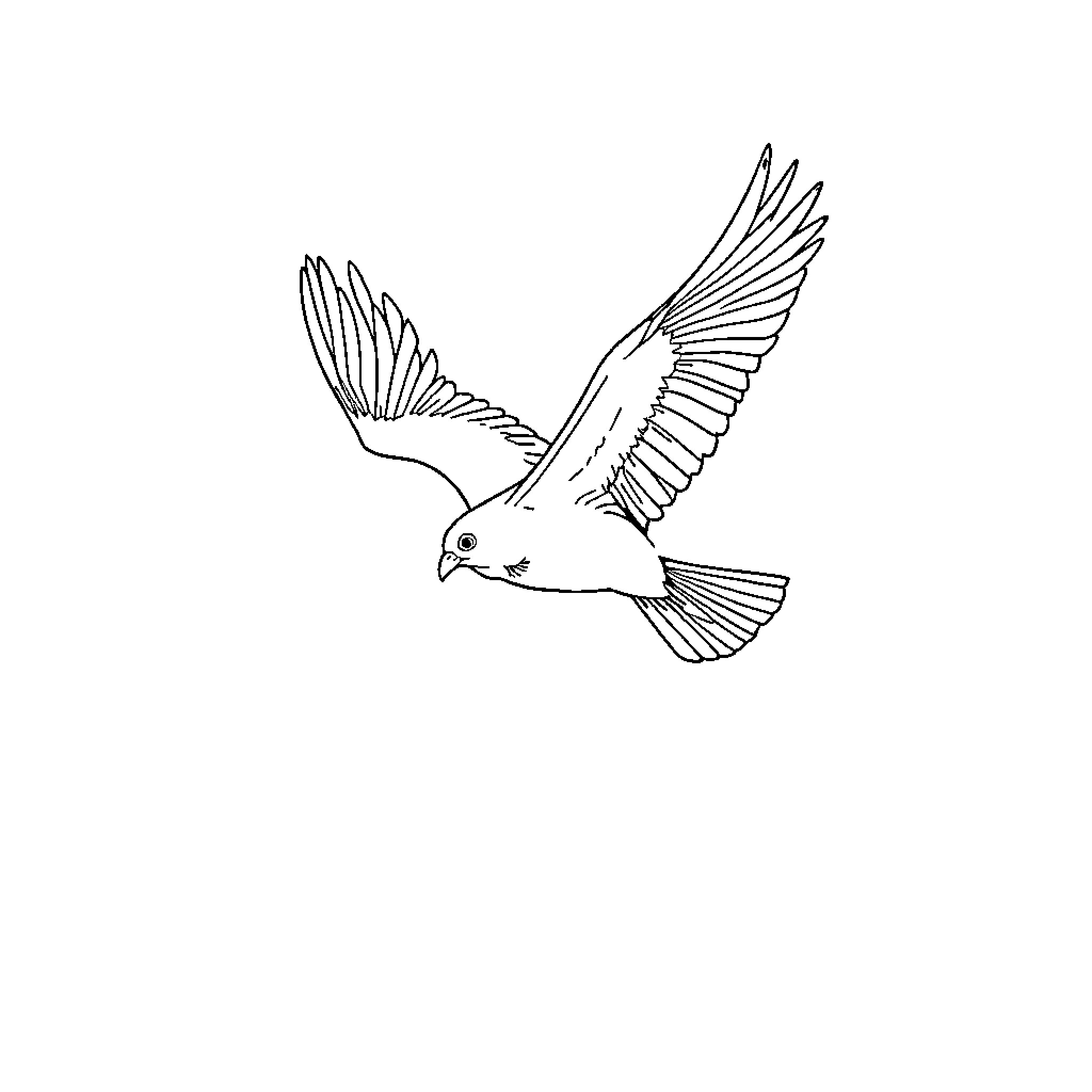 Bird in flight with outstretched wings Coloring Page (free black-and-white line drawing printable PDF for all, from beginners to advanced learners, including children, teens, adults, and seniors)