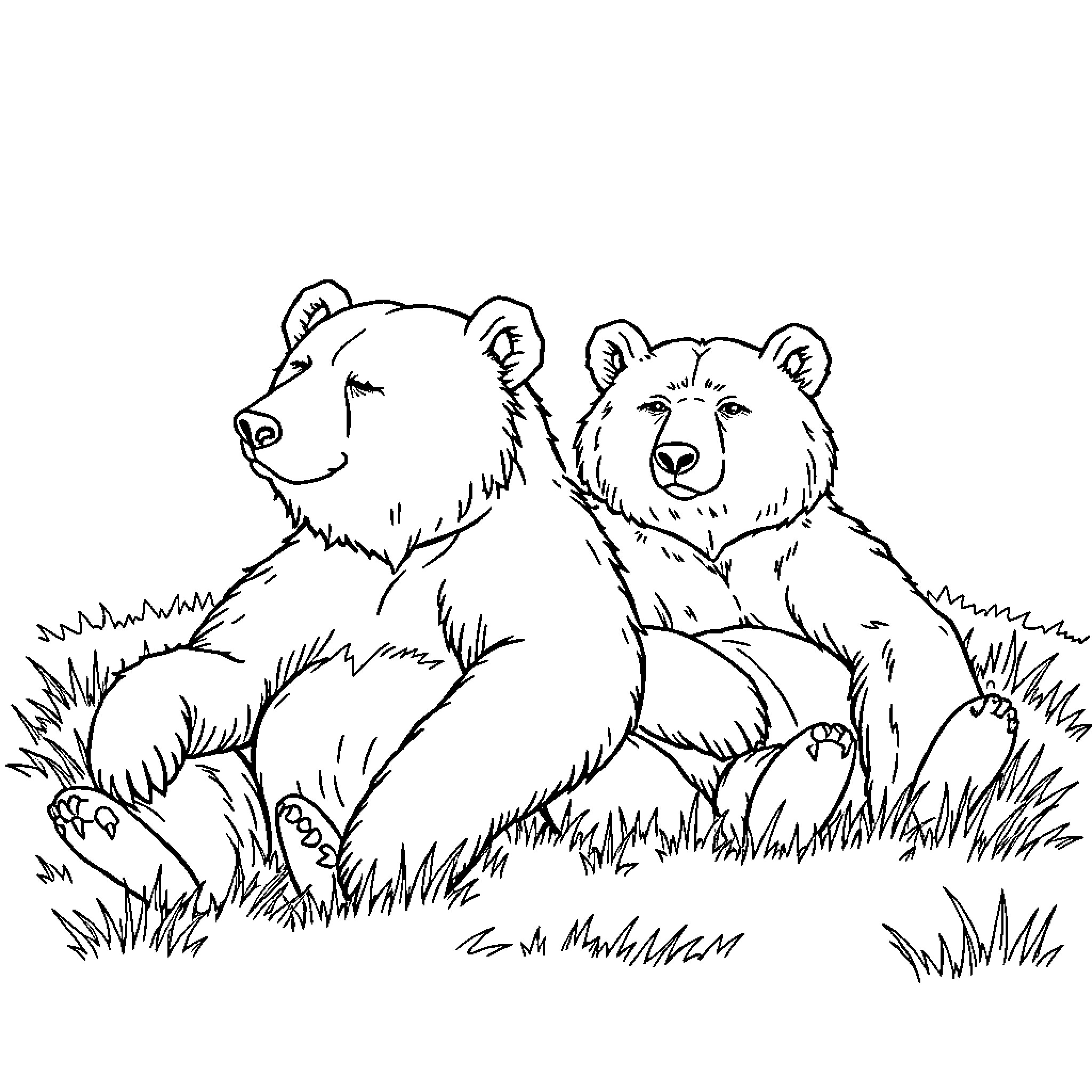 Bear siblings playing in the wild grass Coloring Page (free black-and-white line drawing printable PDF for all, from beginners to advanced learners, including children, teens, adults, and seniors)