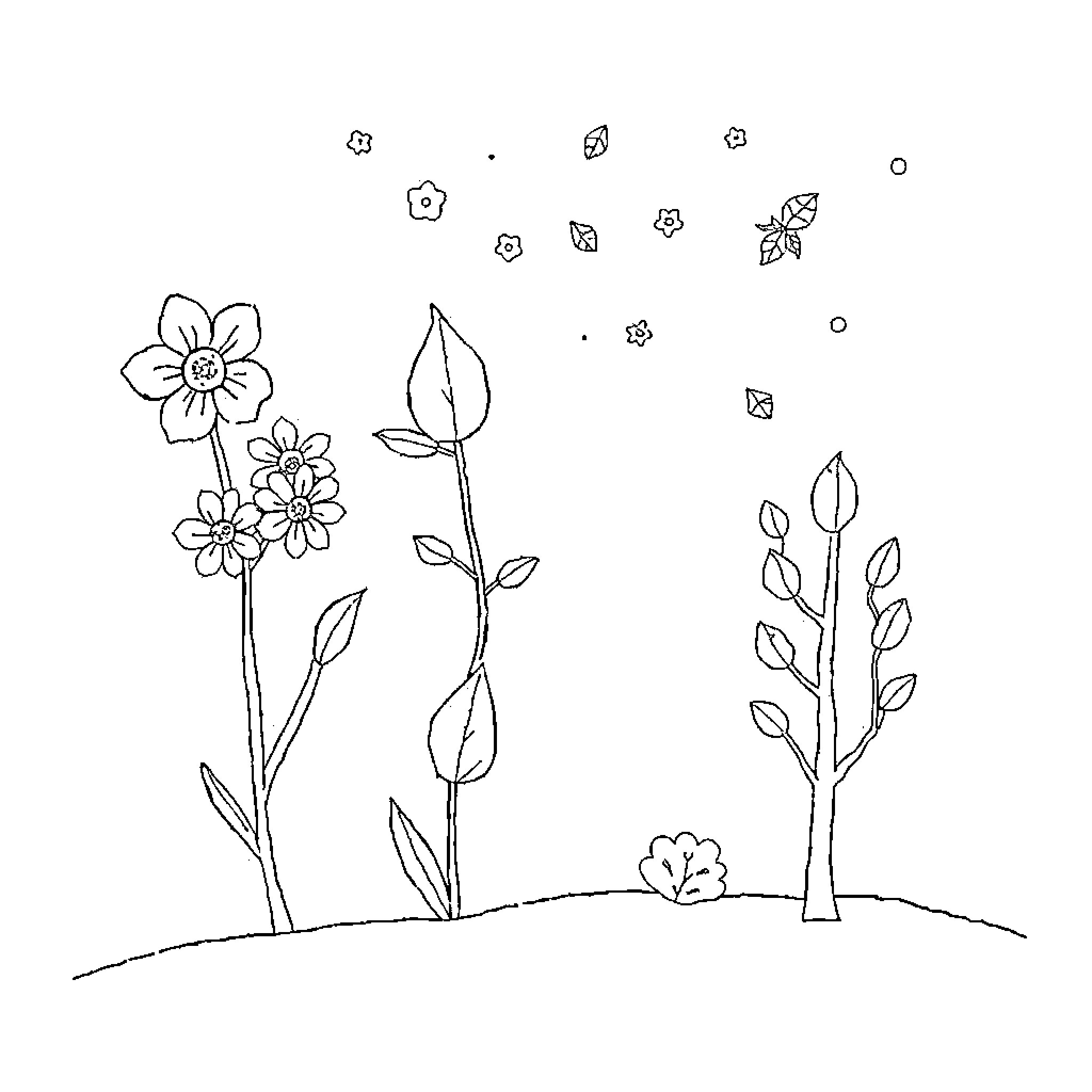 Season of Blooming Flowers and Leaves Coloring Page (free black-and-white line drawing printable PDF for all, from beginners to advanced learners, including children, teens, adults, and seniors)