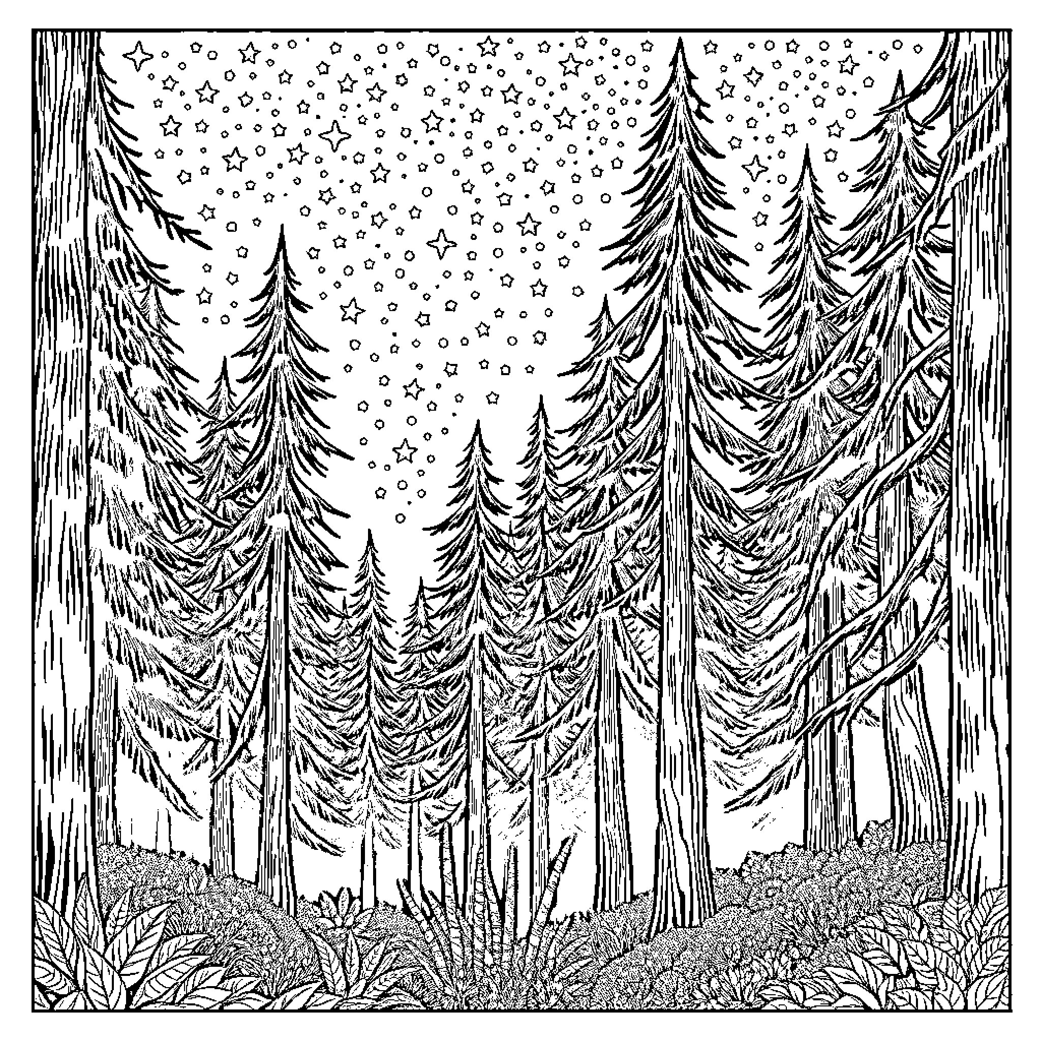 Forest full of snowy winter trees and starry sky Coloring Page (free black-and-white line drawing printable PDF for all, from beginners to advanced learners, including children, teens, adults, and seniors)