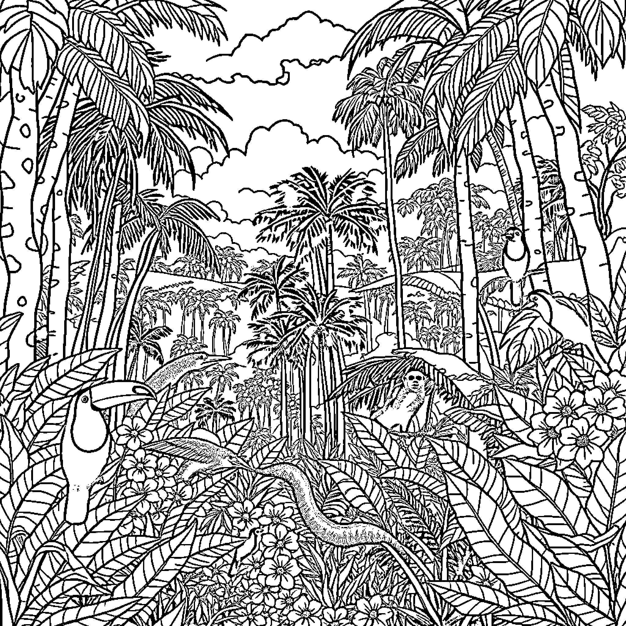 Amazonian Landscape with Lush Vegetation and Wildlife Coloring Page (free black-and-white line drawing printable PDF for all, from beginners to advanced learners, including children, teens, adults, and seniors)