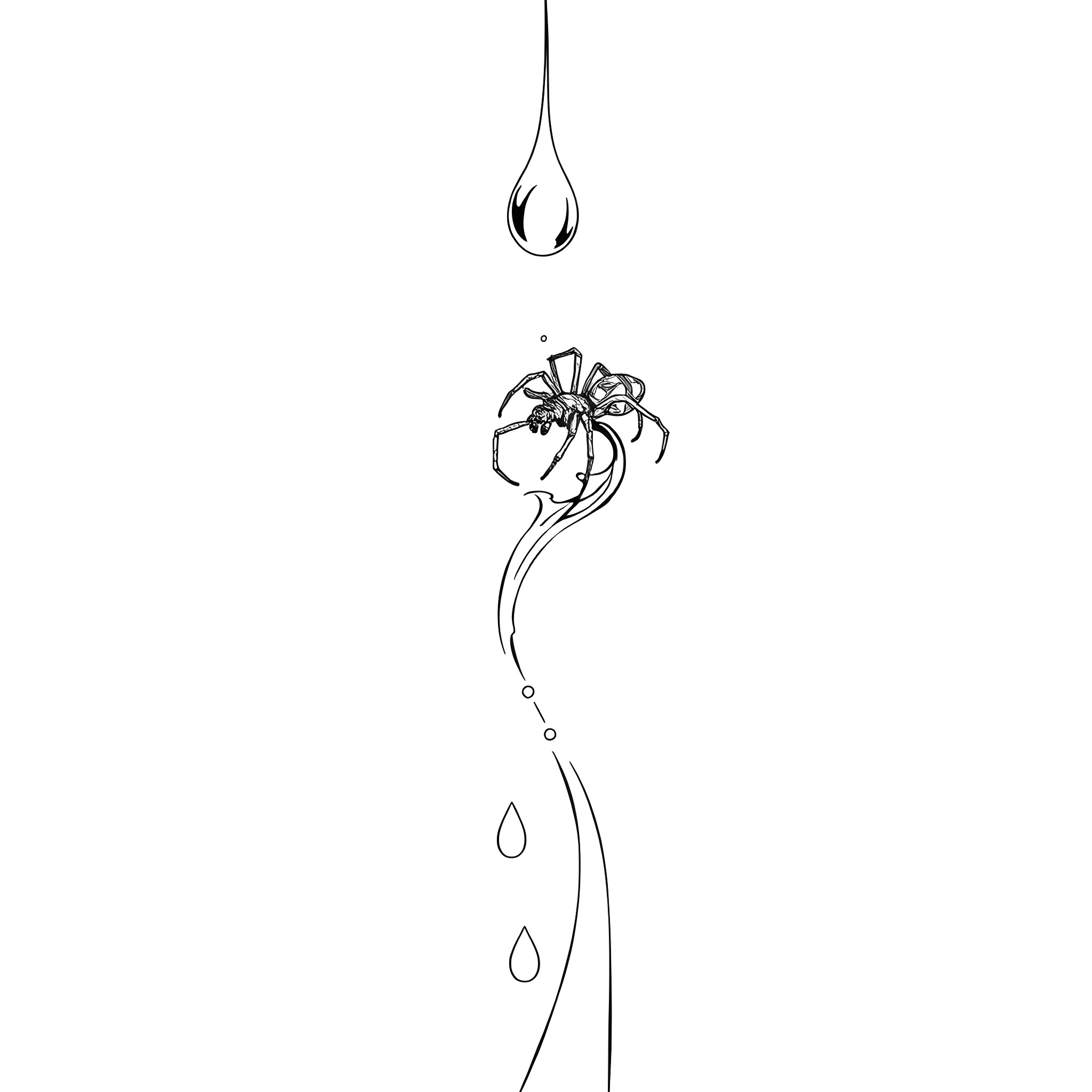 Spider Hanging from a Droplet Coloring Page (free black-and-white line drawing printable PDF for all, from beginners to advanced learners, including children, teens, adults, and seniors)
