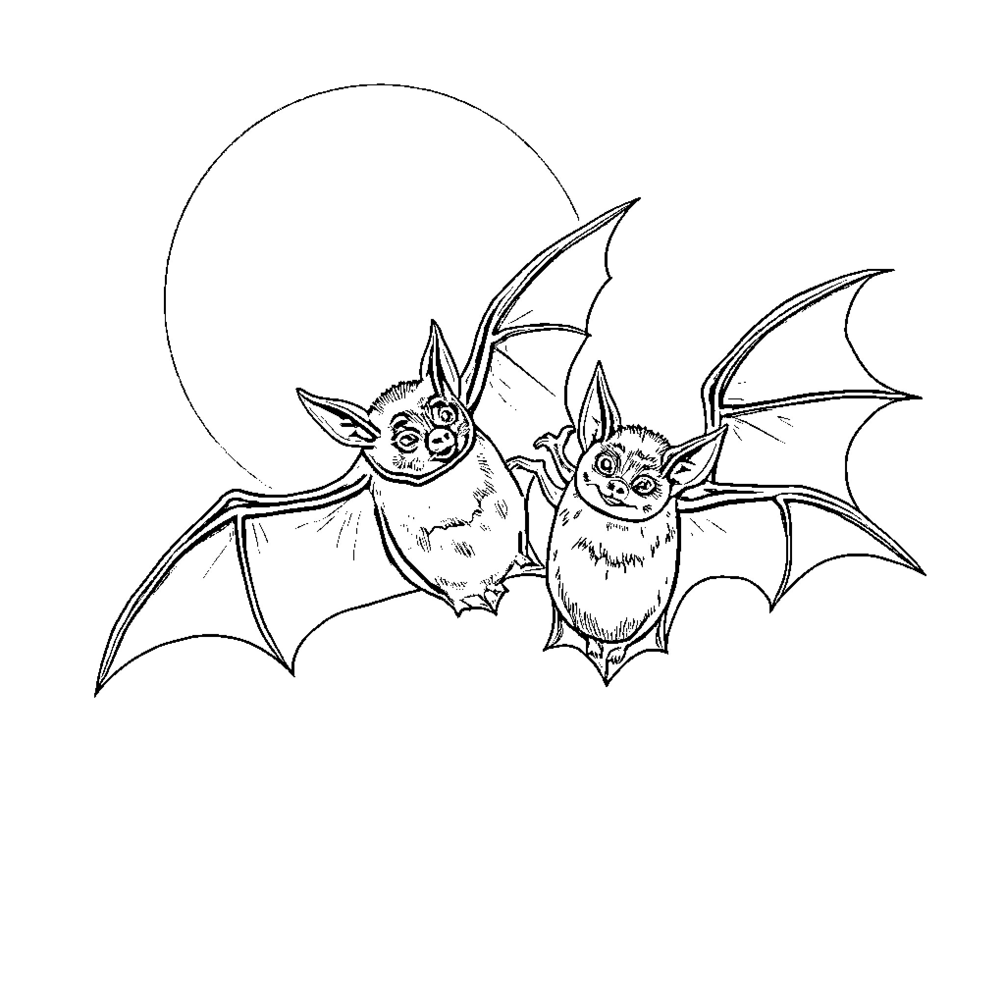 Bats flying together in the moonlight Coloring Page (free black-and-white line drawing printable PDF for all, from beginners to advanced learners, including children, teens, adults, and seniors)