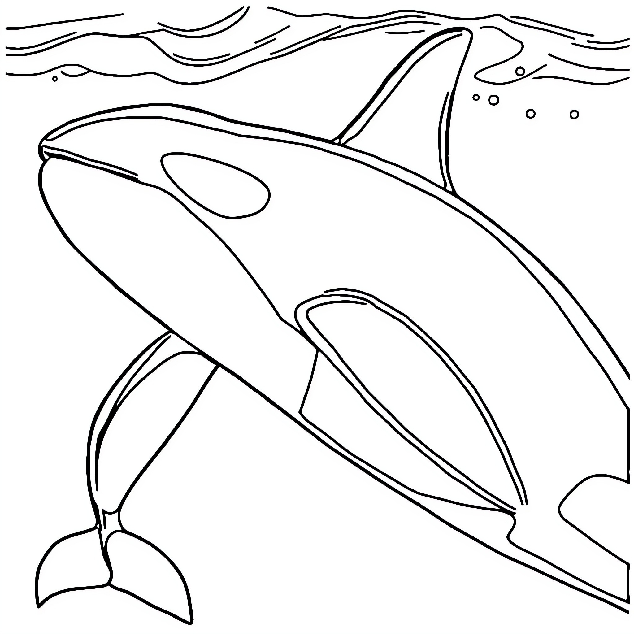 Orca swimming gracefully in the ocean Coloring Page (free black-and-white line drawing printable PDF for all, from beginners to advanced learners, including children, teens, adults, and seniors)