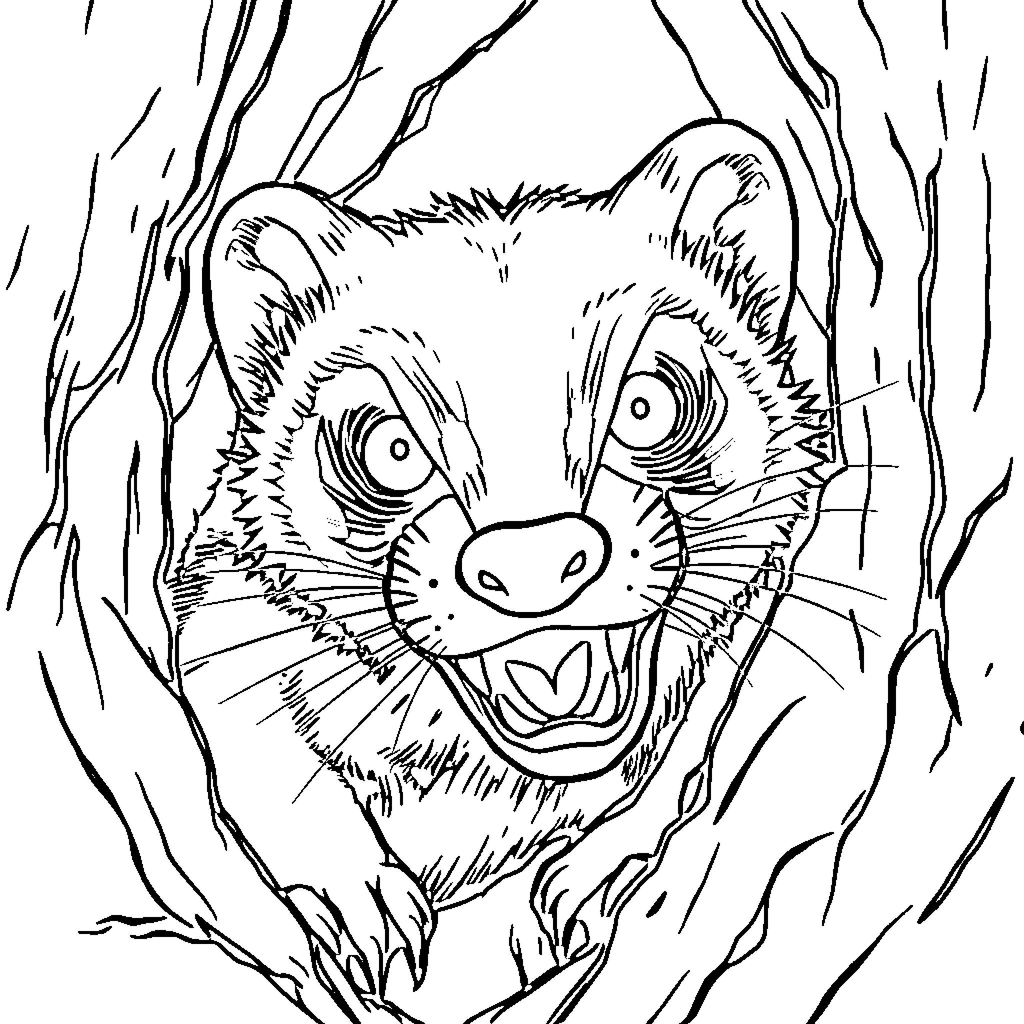 Stoat peeking through the undergrowth Coloring Page (free black-and-white line drawing printable PDF for all, from beginners to advanced learners, including children, teens, adults, and seniors)