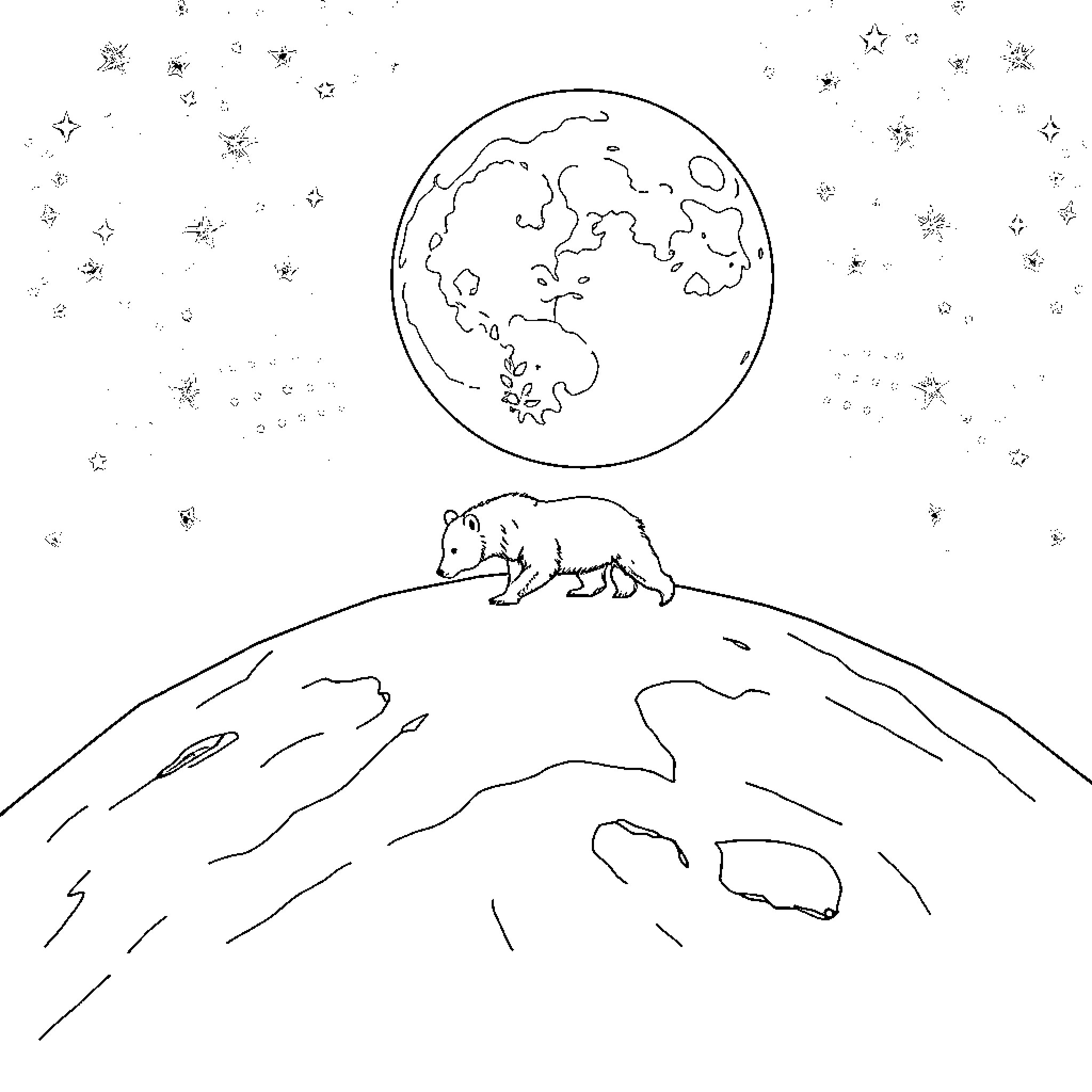 Bear gazing at the starry night sky Coloring Page (free black-and-white line drawing printable PDF for all, from beginners to advanced learners, including children, teens, adults, and seniors)