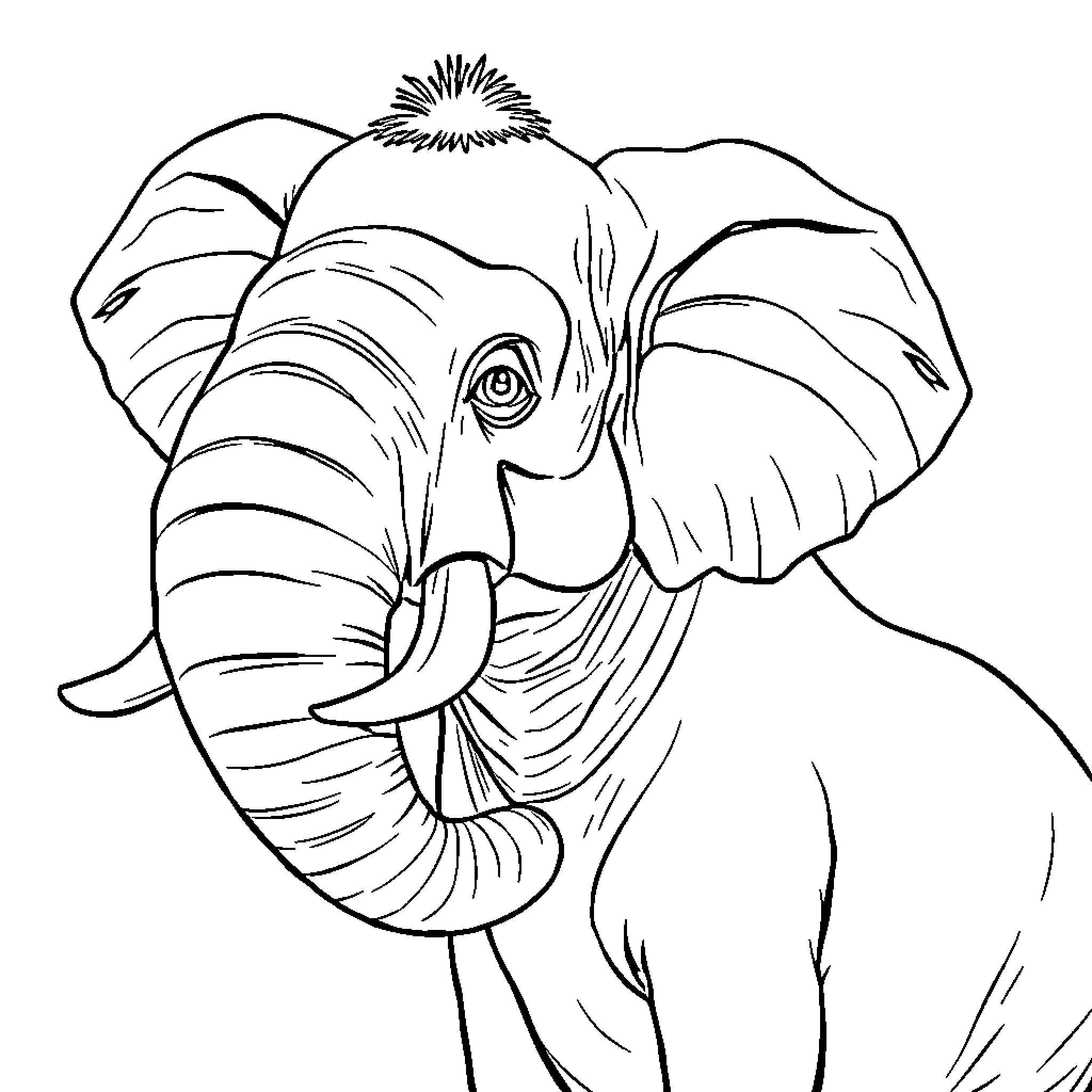 Tomato the Elephant Exploring the Wilderness Coloring Page (free black-and-white line drawing printable PDF for all, from beginners to advanced learners, including children, teens, adults, and seniors)