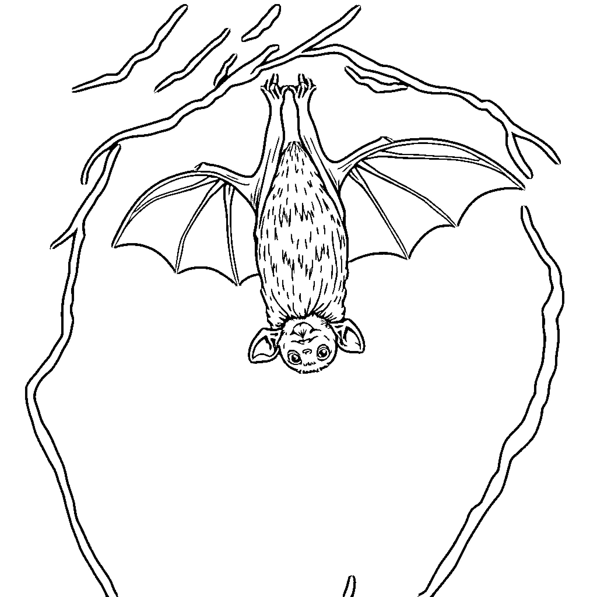 Bat hanging from branch in cave Coloring Page (free black-and-white line drawing printable PDF for all, from beginners to advanced learners, including children, teens, adults, and seniors)