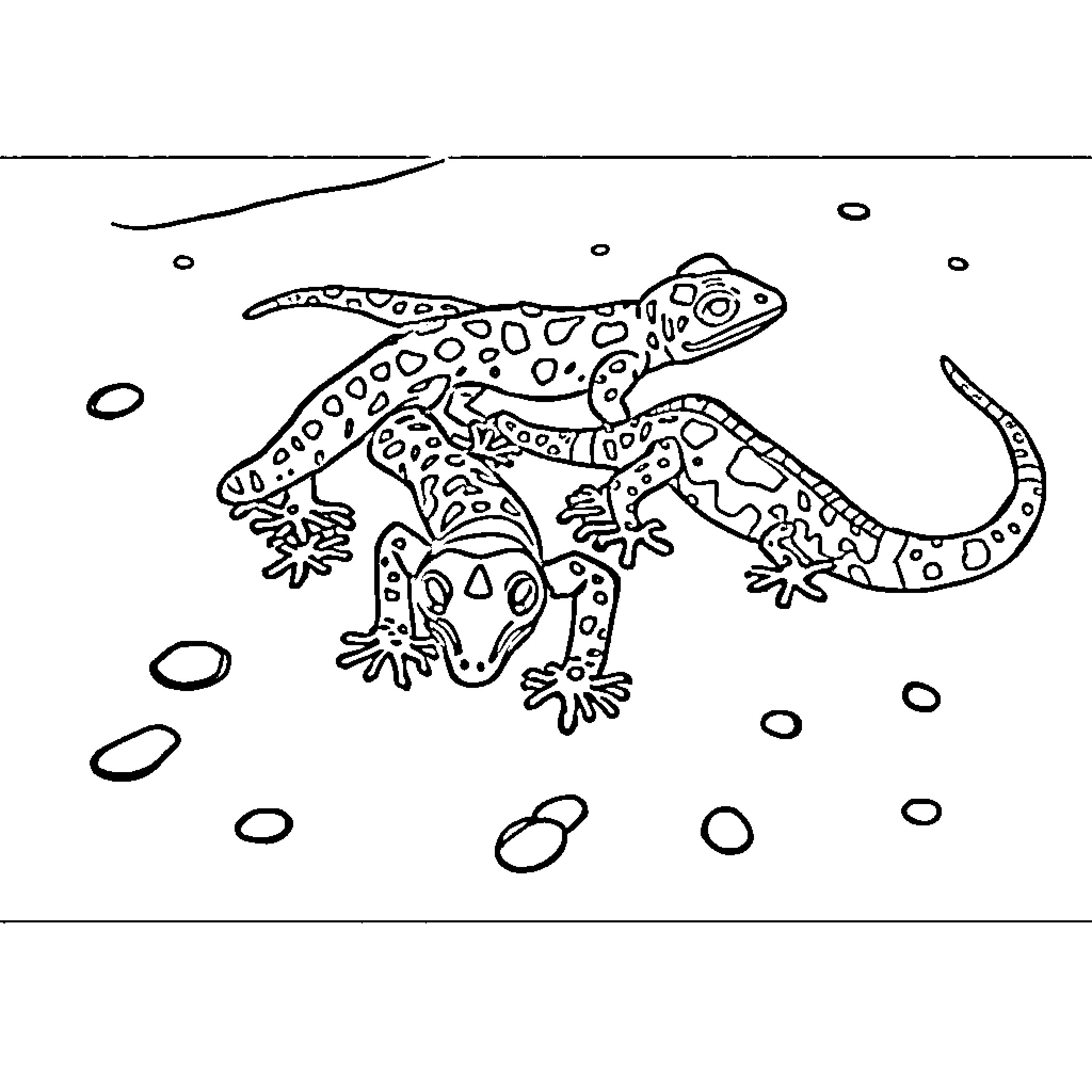 Gecko crawling on a patterned surface Coloring Page (free black-and-white line drawing printable PDF for all, from beginners to advanced learners, including children, teens, adults, and seniors)