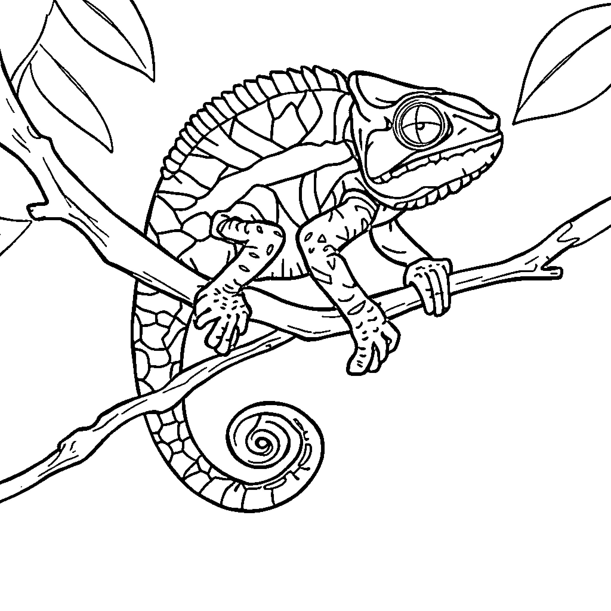 Chameleon clinging to branch with outstretched limbs Coloring Page (free black-and-white line drawing printable PDF for all, from beginners to advanced learners, including children, teens, adults, and seniors)
