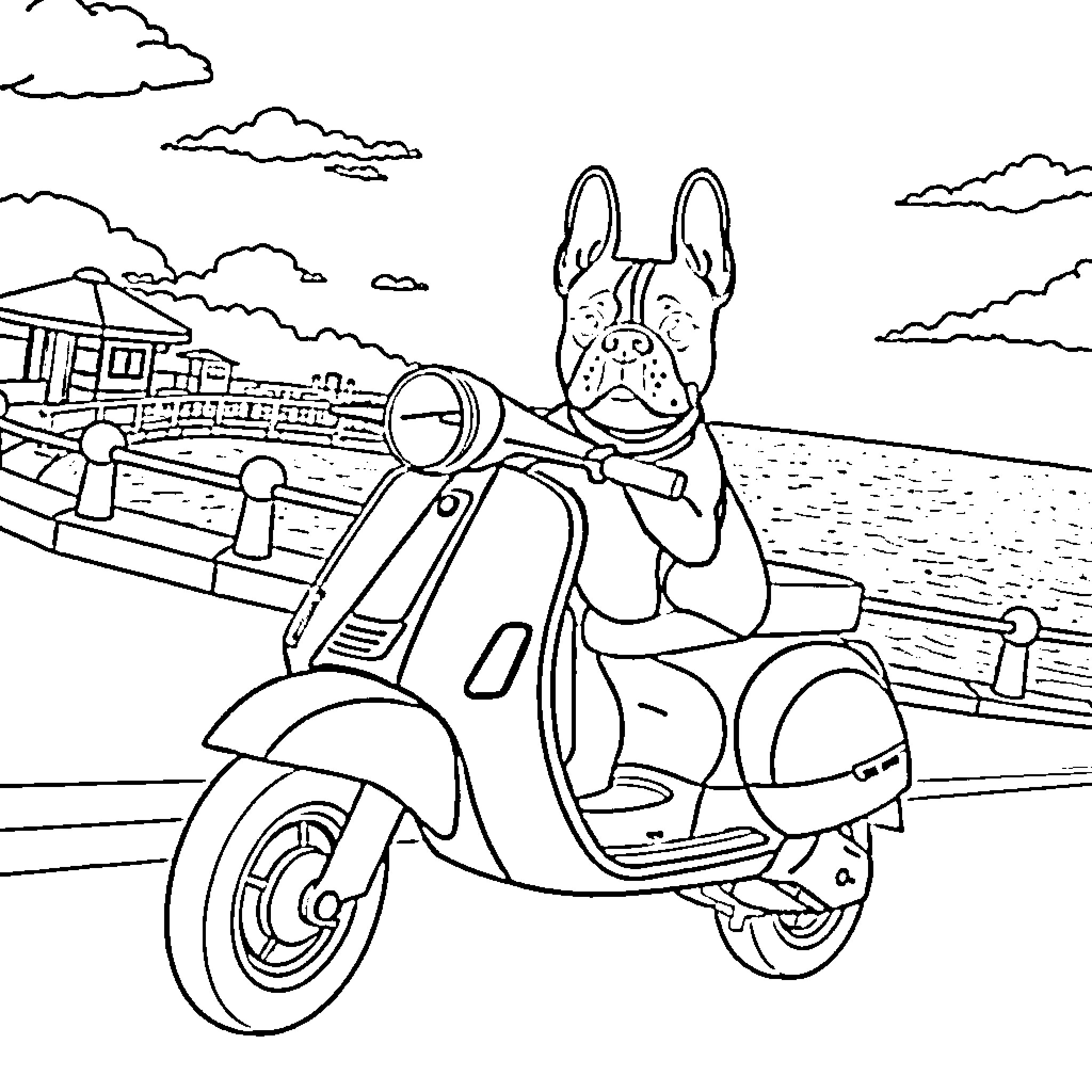 Boston Terrier riding a scooter along the coast Coloring Page (free black-and-white line drawing printable PDF for all, from beginners to advanced learners, including children, teens, adults, and seniors)