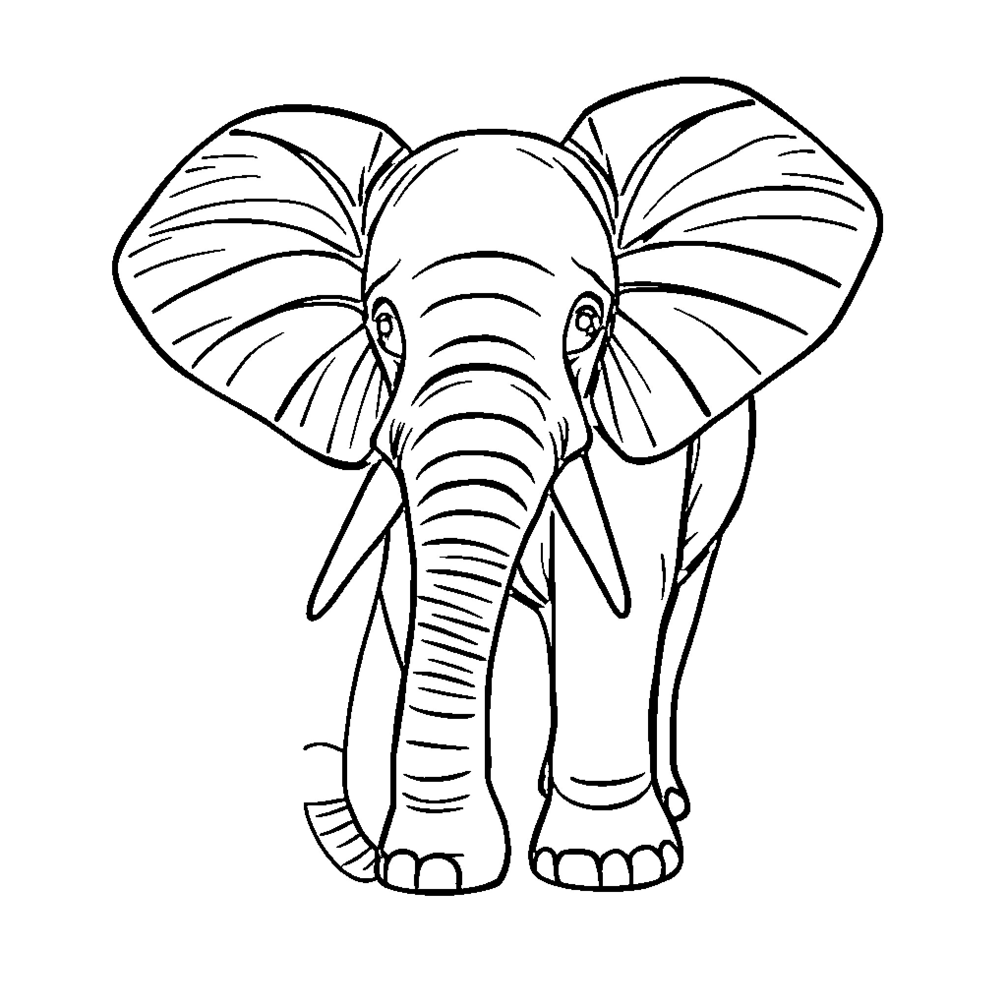 Elephant with large ears standing Coloring Page (free black-and-white line drawing printable PDF for all, from beginners to advanced learners, including children, teens, adults, and seniors)
