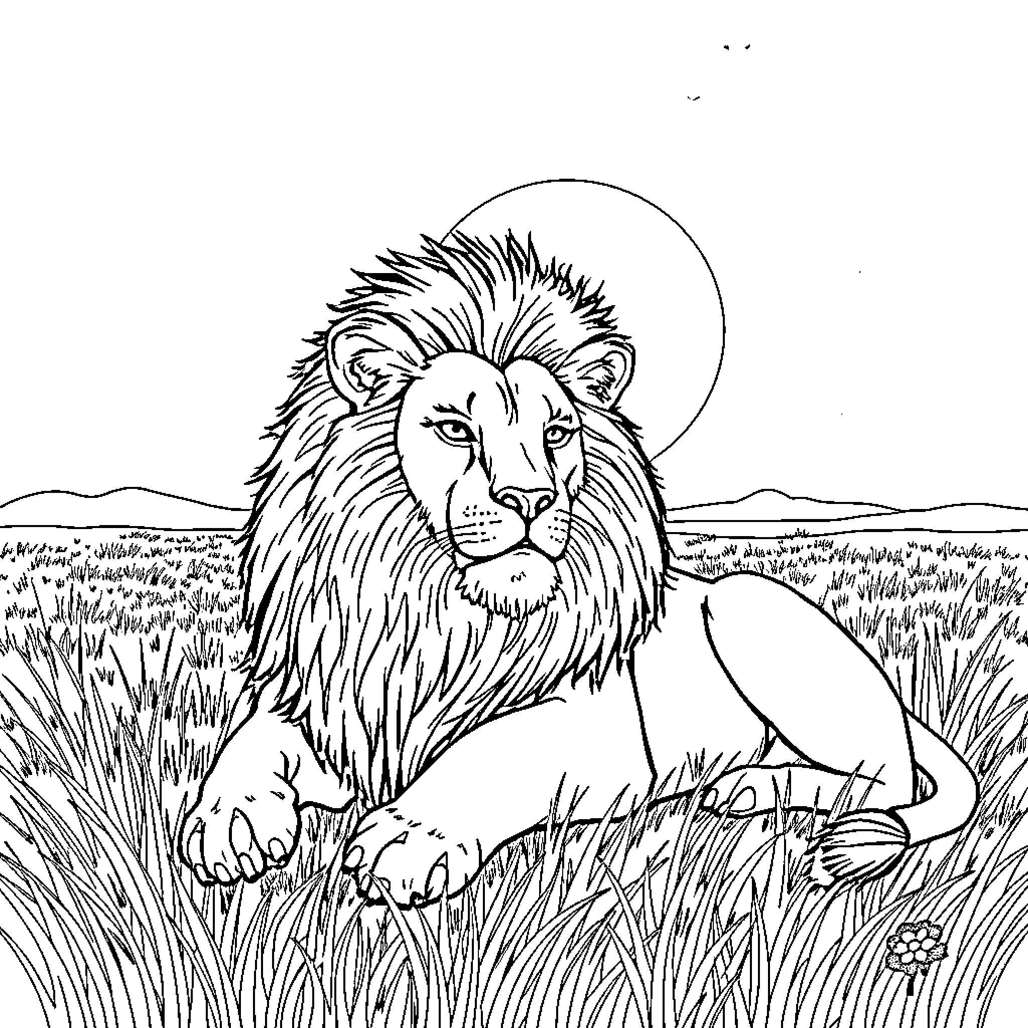 Lion resting peacefully in the grassland Coloring Page (free black-and-white line drawing printable PDF for all, from beginners to advanced learners, including children, teens, adults, and seniors)