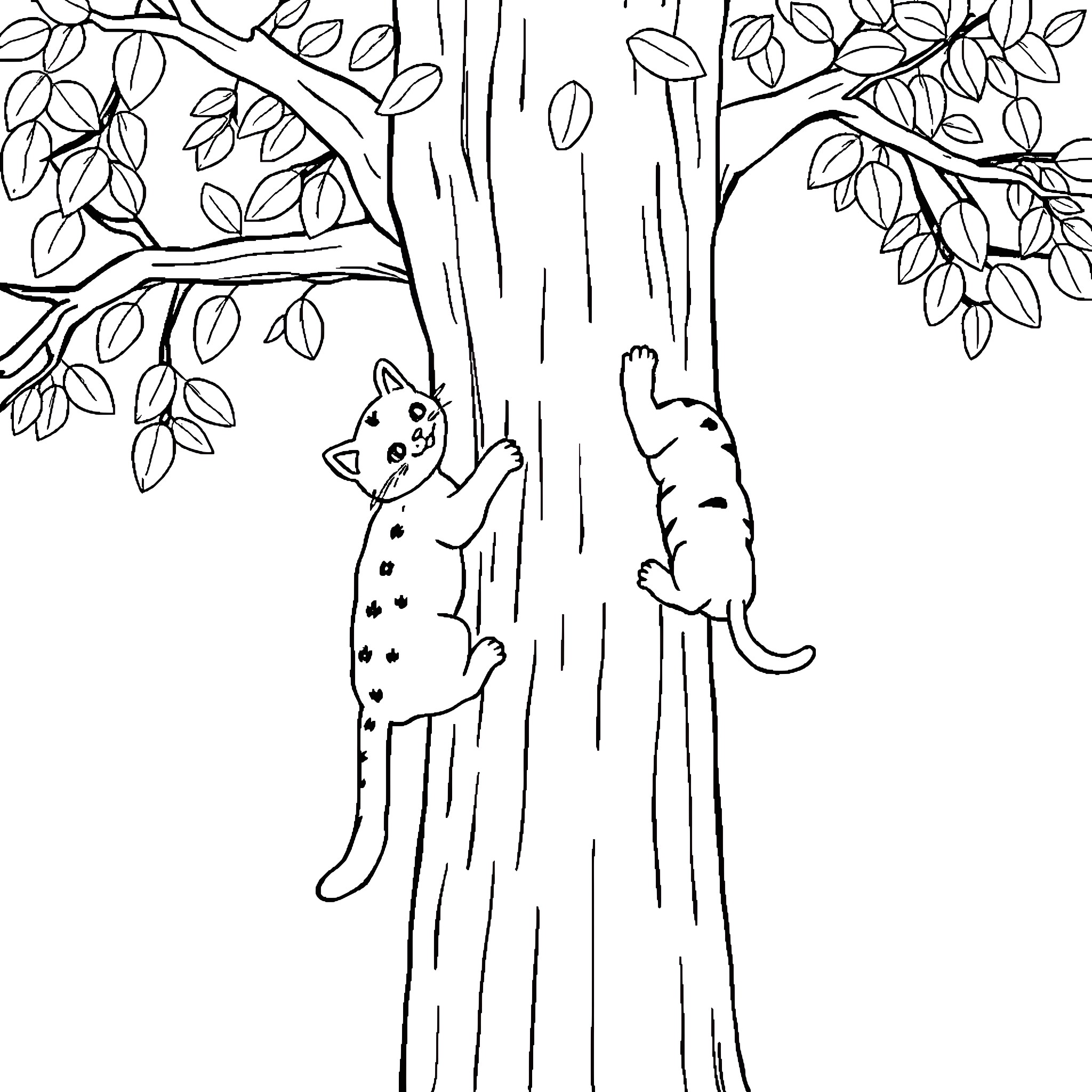 Cats climbing on a tree Coloring Page (free black-and-white line drawing printable PDF for all, from beginners to advanced learners, including children, teens, adults, and seniors)