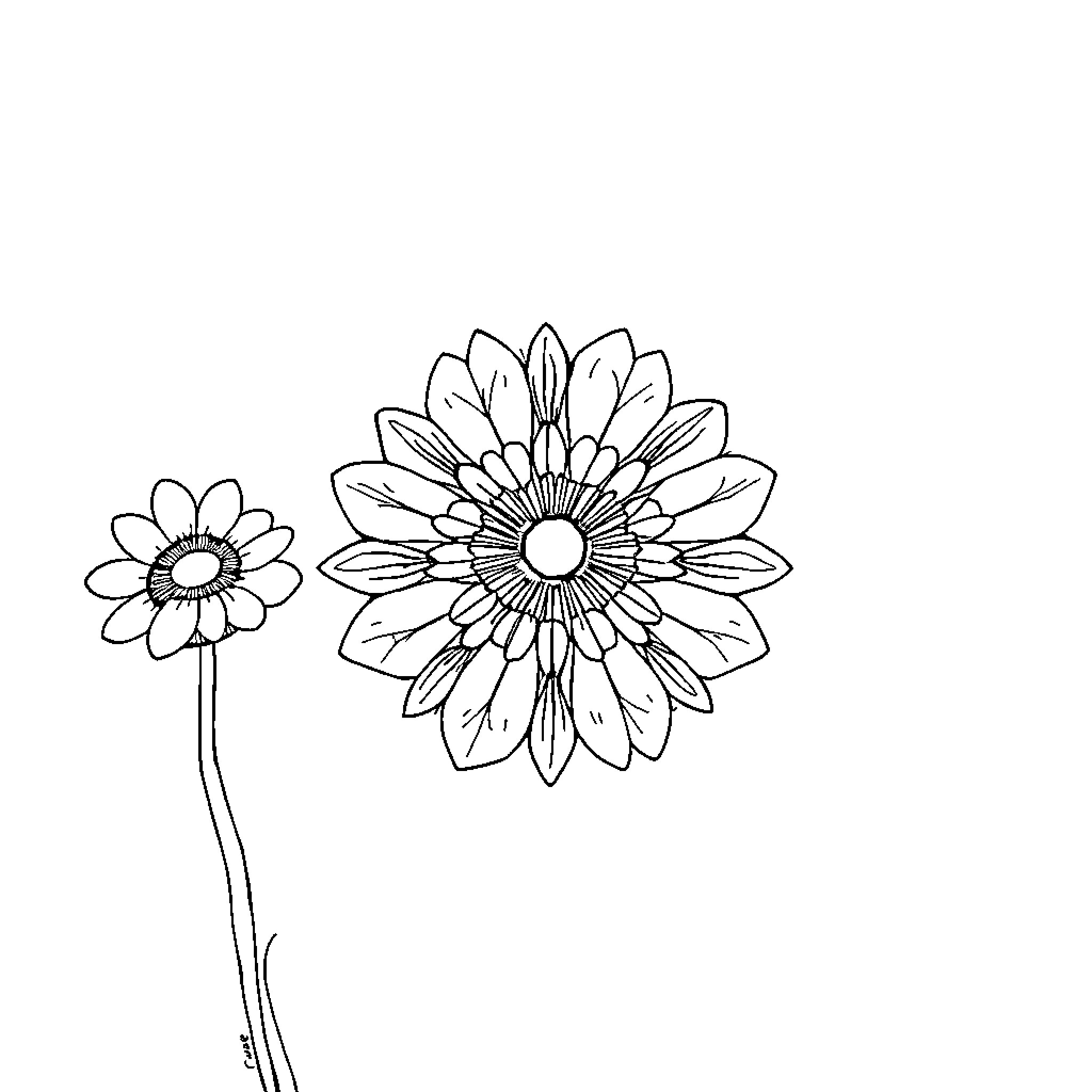 Muslim Floral Pattern Artwork Coloring Page (free black-and-white line drawing printable PDF for all, from beginners to advanced learners, including children, teens, adults, and seniors)