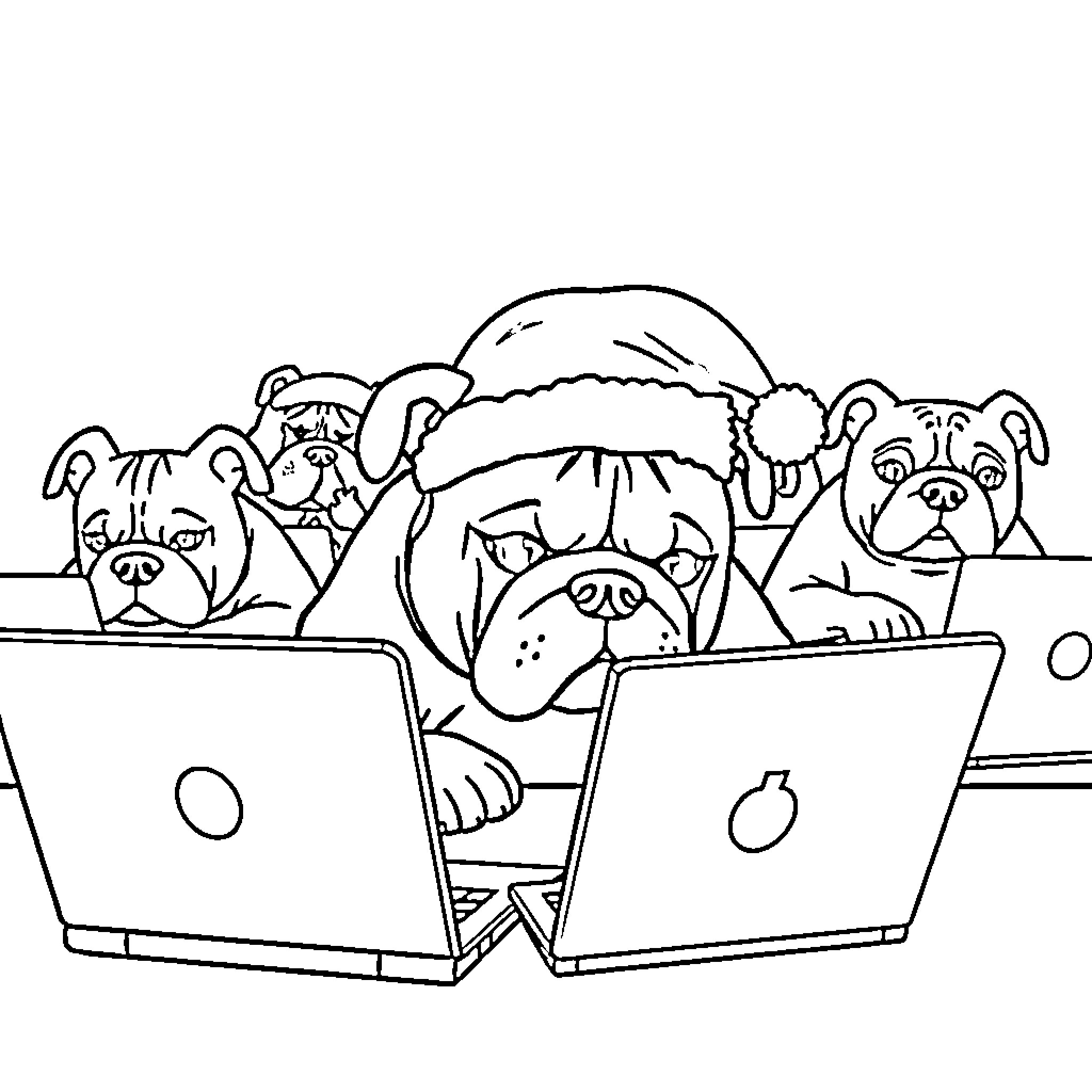 Bulldog friends working together on laptops Coloring Page (free black-and-white line drawing printable PDF for all, from beginners to advanced learners, including children, teens, adults, and seniors)