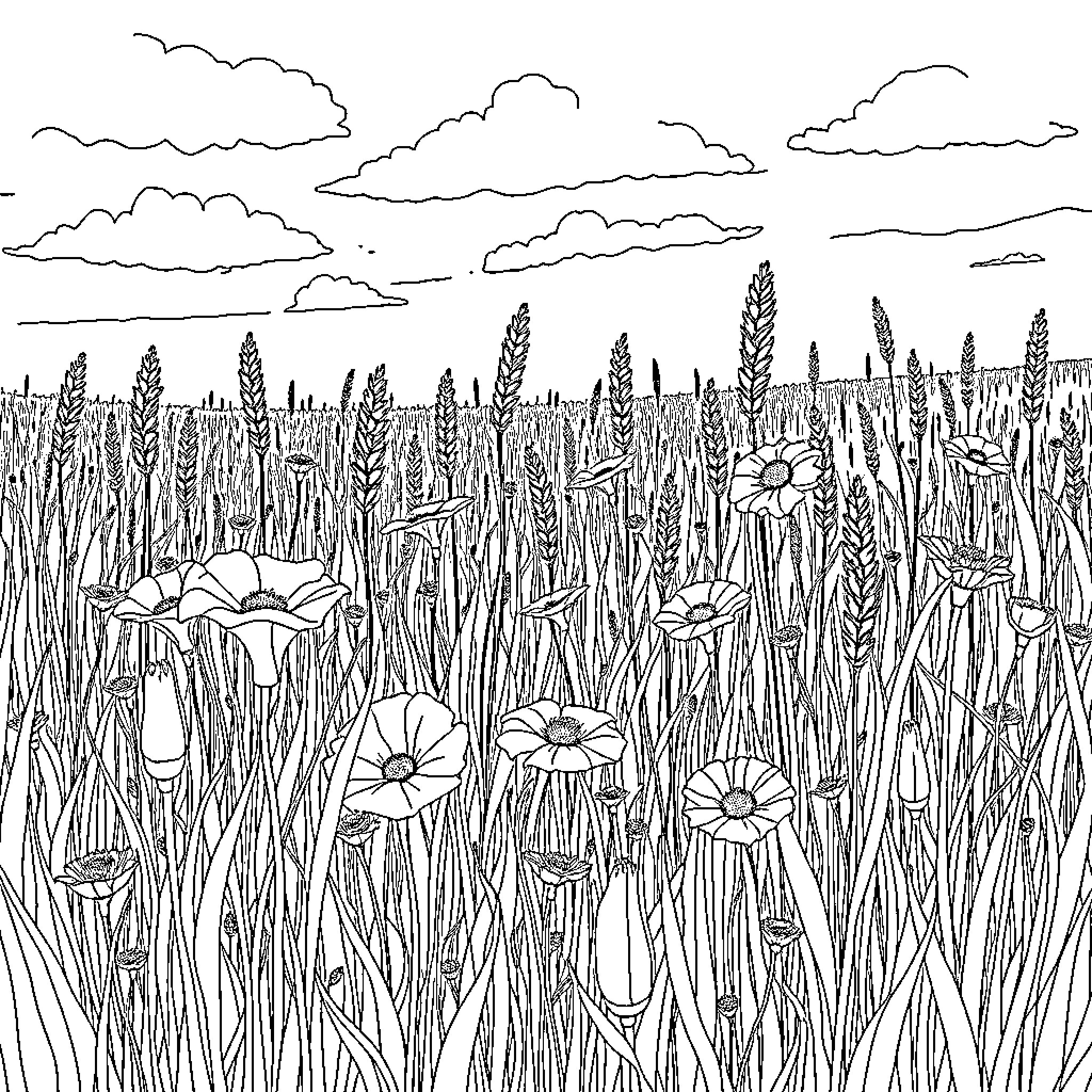 Forb field with blooming flowers under cloudy sky Coloring Page (free black-and-white line drawing printable PDF for all, from beginners to advanced learners, including children, teens, adults, and seniors)