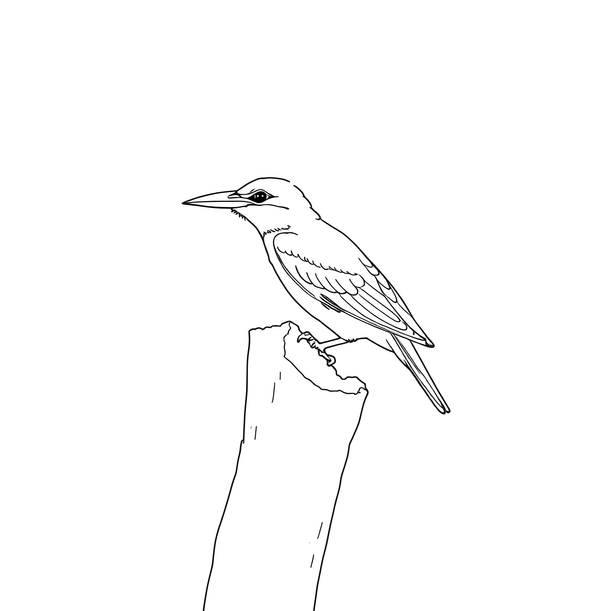 Bee Eater perched on a branch Coloring Page (free black-and-white line drawing printable PDF for all, from beginners to advanced learners, including children, teens, adults, and seniors)