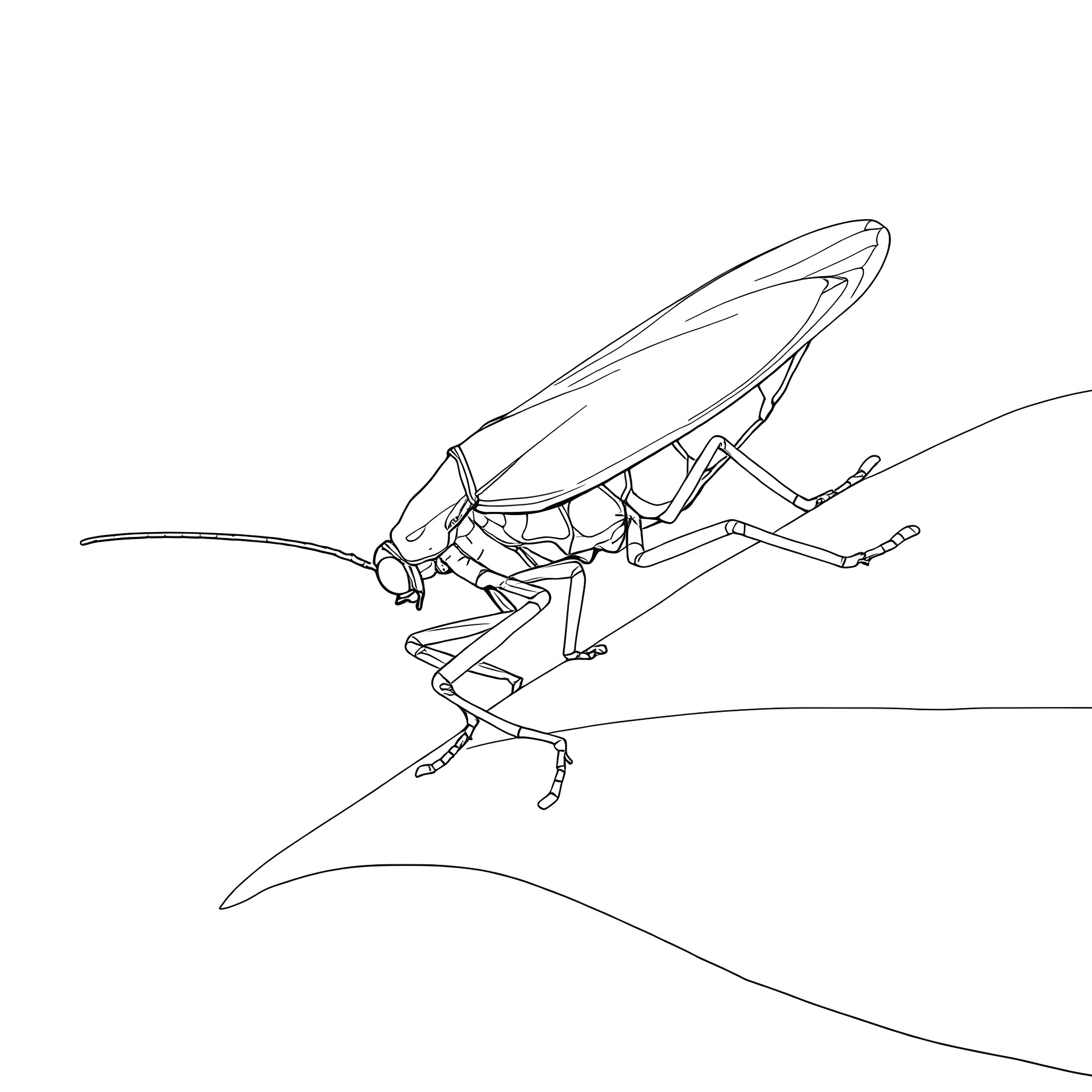 Katydid silhouette on the leaf Coloring Page (free black-and-white line drawing printable PDF for all, from beginners to advanced learners, including children, teens, adults, and seniors)