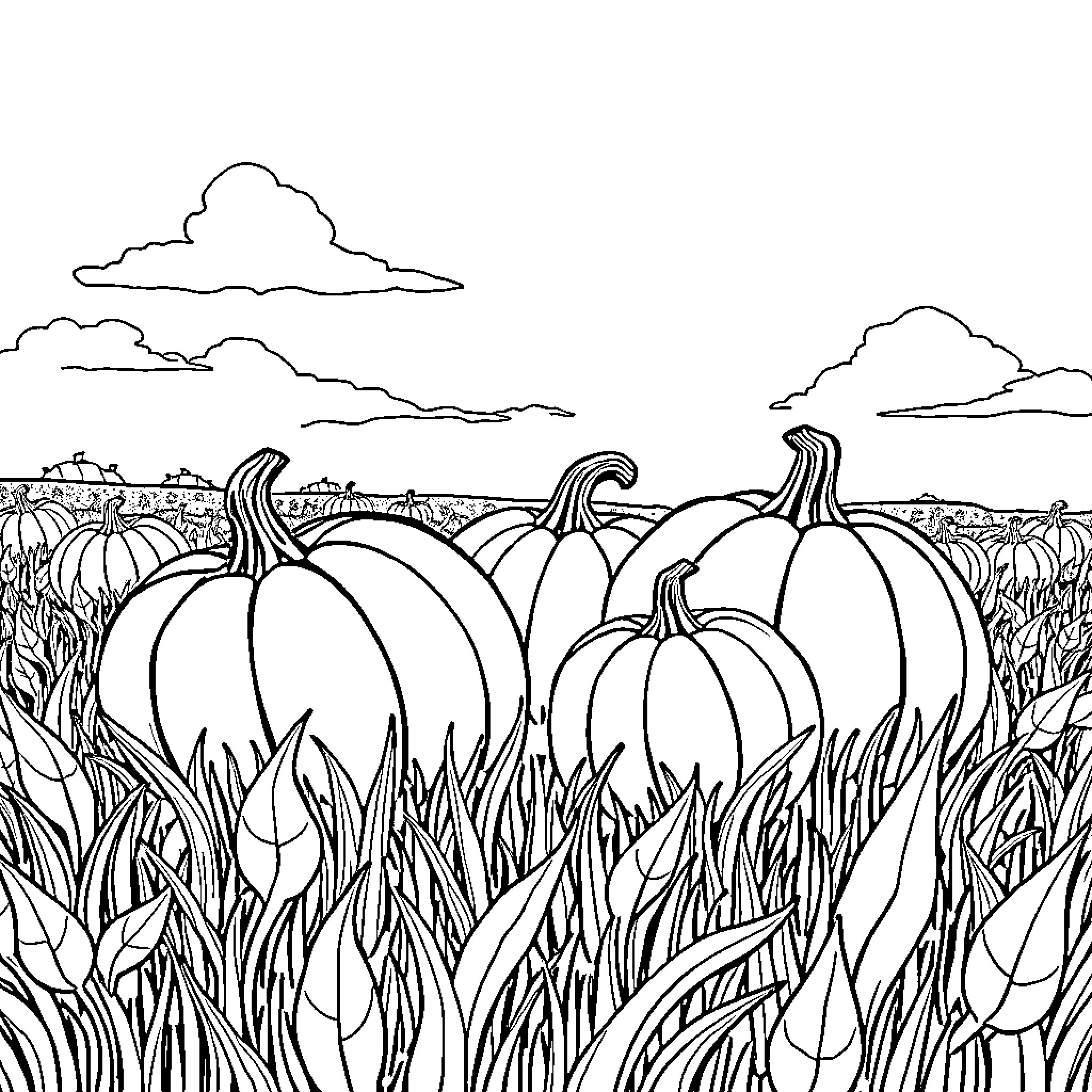 Pumpkins growing in the autumn field Coloring Page (free black-and-white line drawing printable PDF for all, from beginners to advanced learners, including children, teens, adults, and seniors)