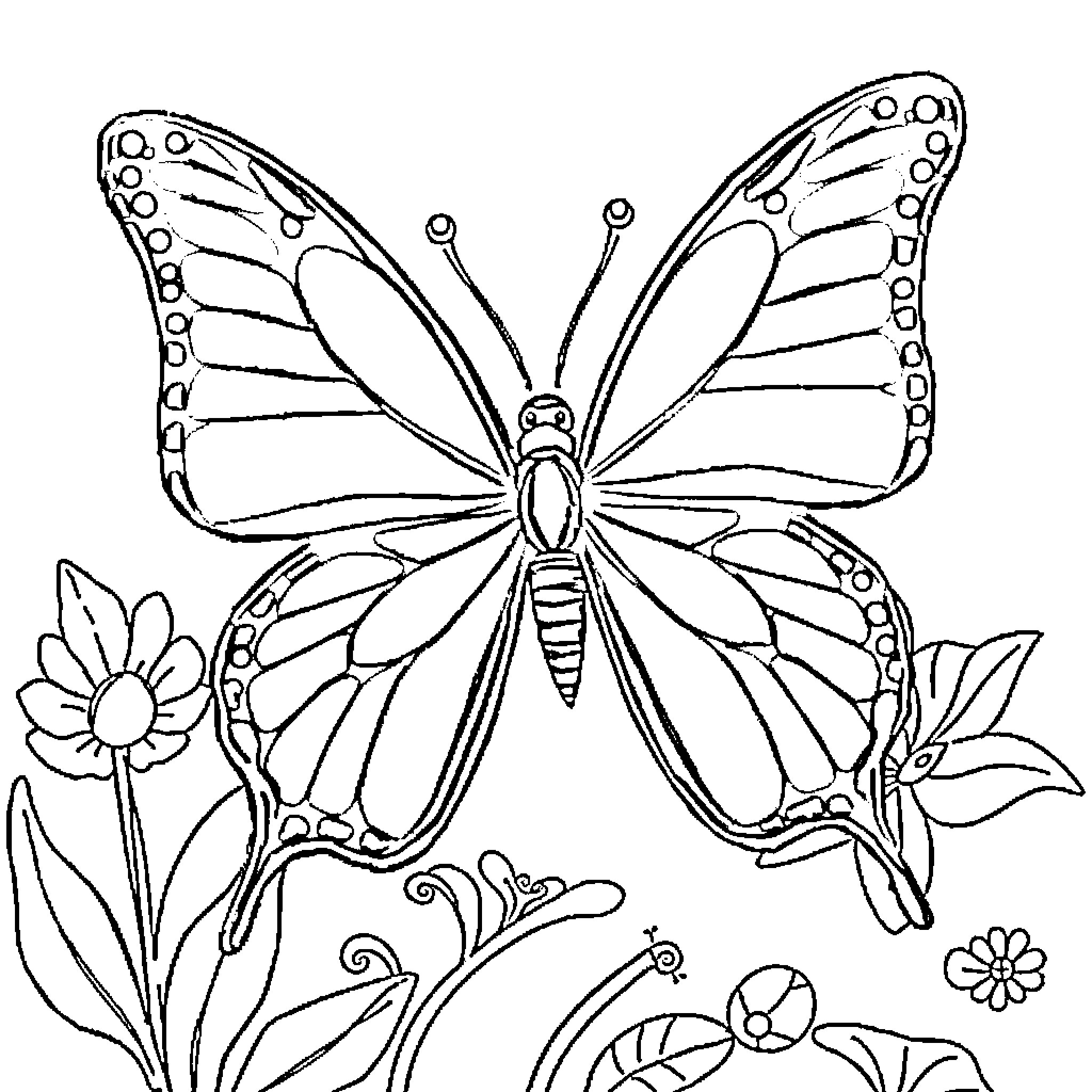 Butterfly soaring among vibrant flowers Coloring Page (free black-and-white line drawing printable PDF for all, from beginners to advanced learners, including children, teens, adults, and seniors)
