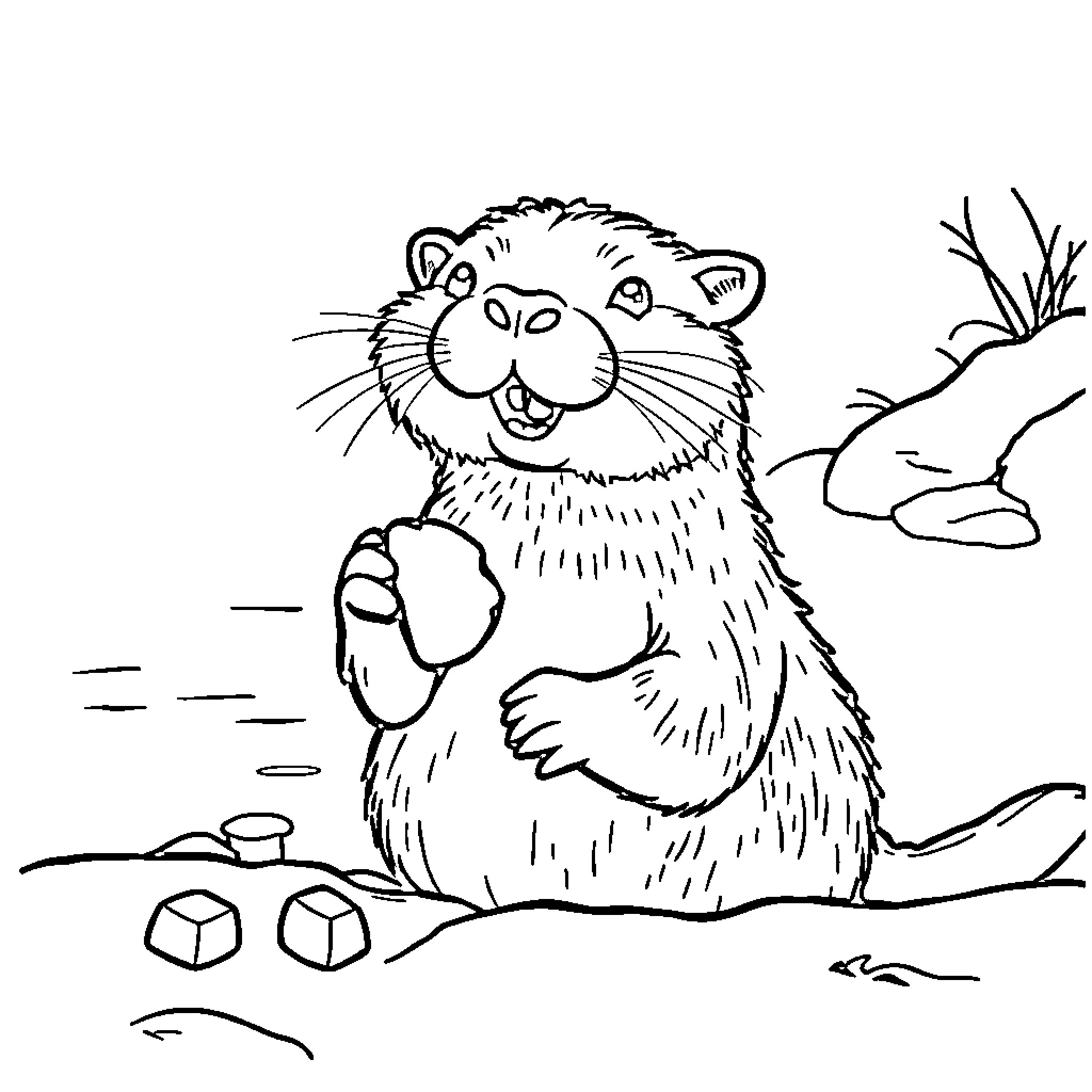 Otter enjoying a playful moment in nature Coloring Page (free black-and-white line drawing printable PDF for all, from beginners to advanced learners, including children, teens, adults, and seniors)