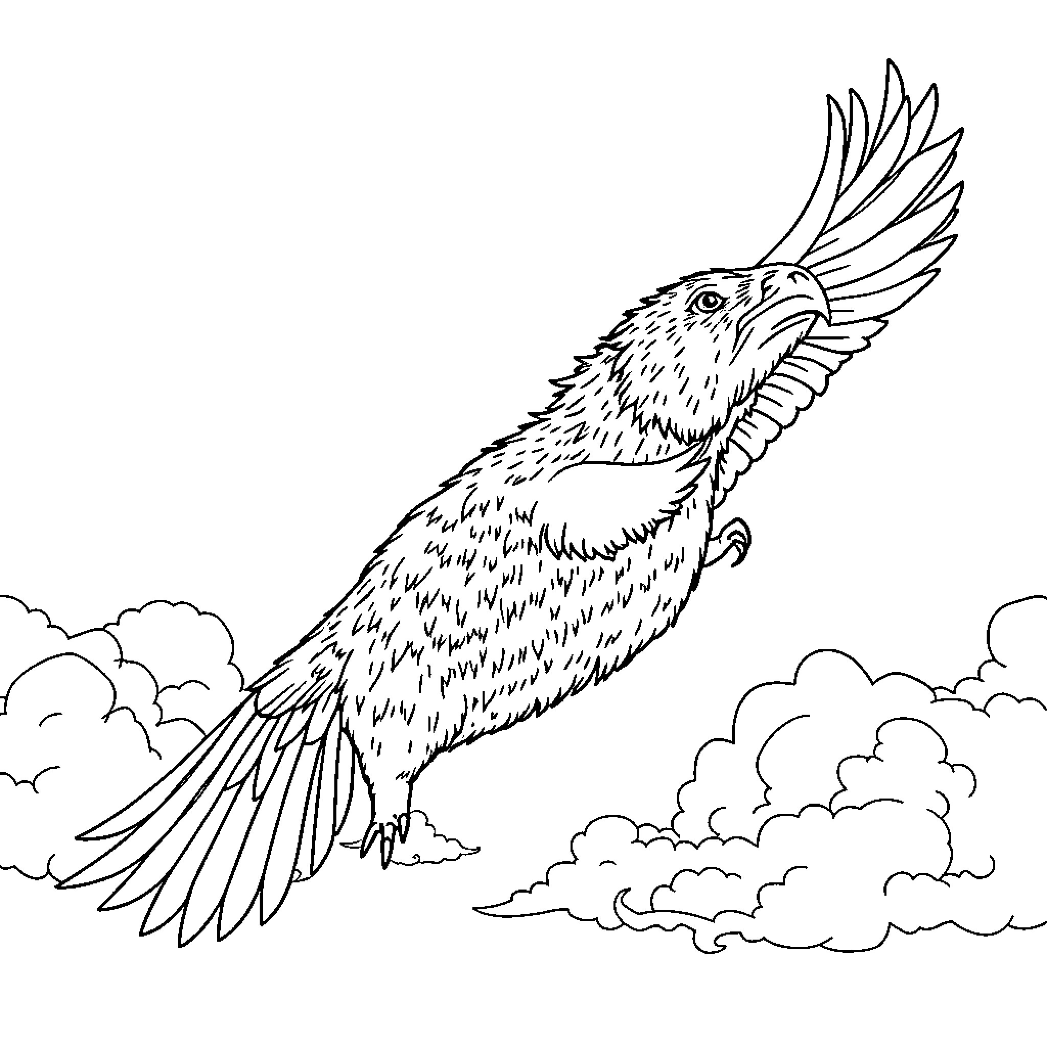 Capybara soaring through the cloudy sky Coloring Page (free black-and-white line drawing printable PDF for all, from beginners to advanced learners, including children, teens, adults, and seniors)