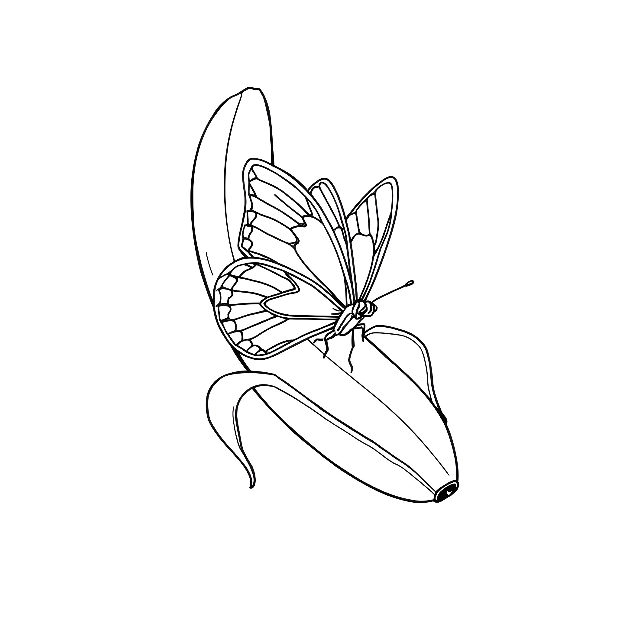 Butterfly resting on a leaf Coloring Page (free black-and-white line drawing printable PDF for all, from beginners to advanced learners, including children, teens, adults, and seniors)
