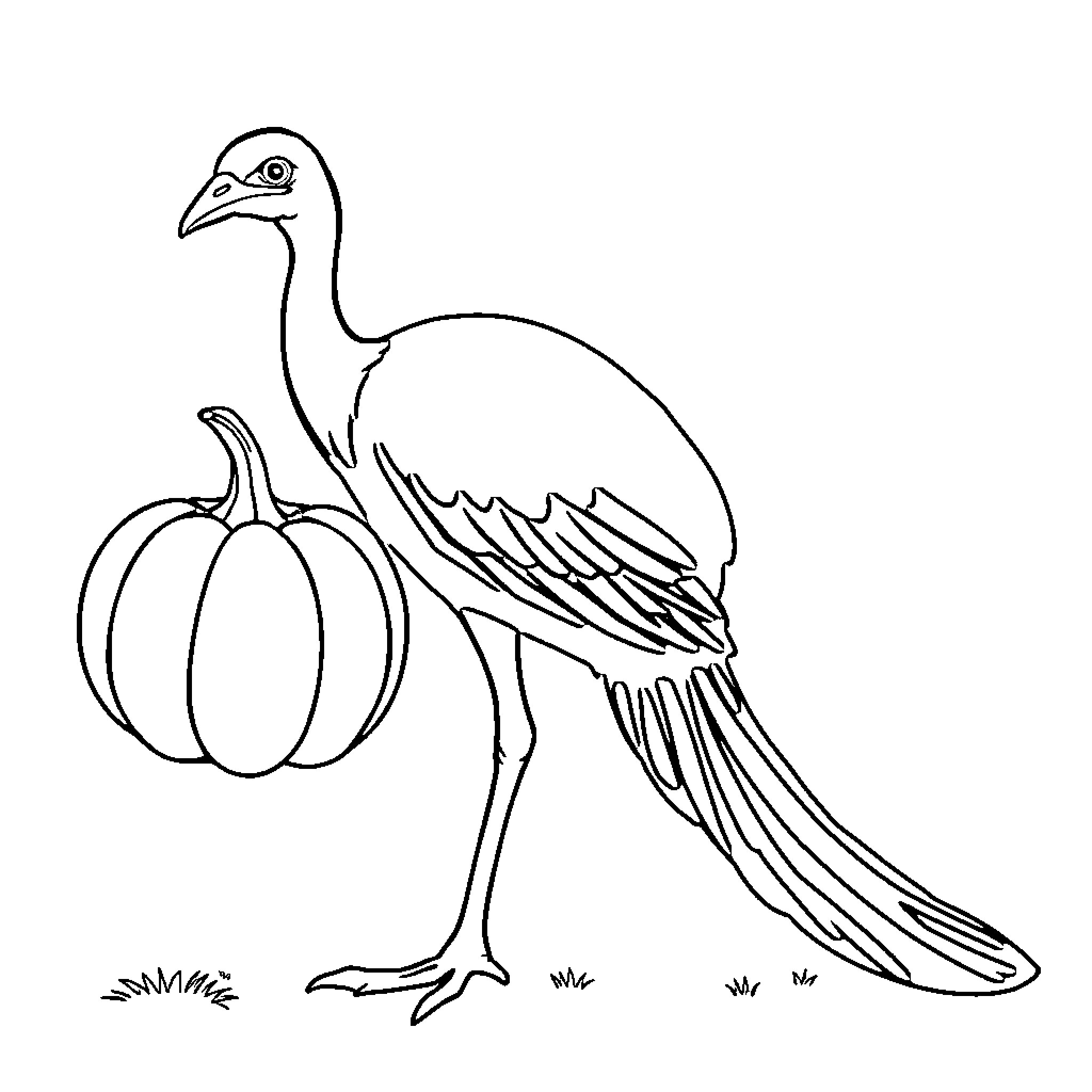 Spider-like bird with pumpkin in the field Coloring Page (free black-and-white line drawing printable PDF for all, from beginners to advanced learners, including children, teens, adults, and seniors)