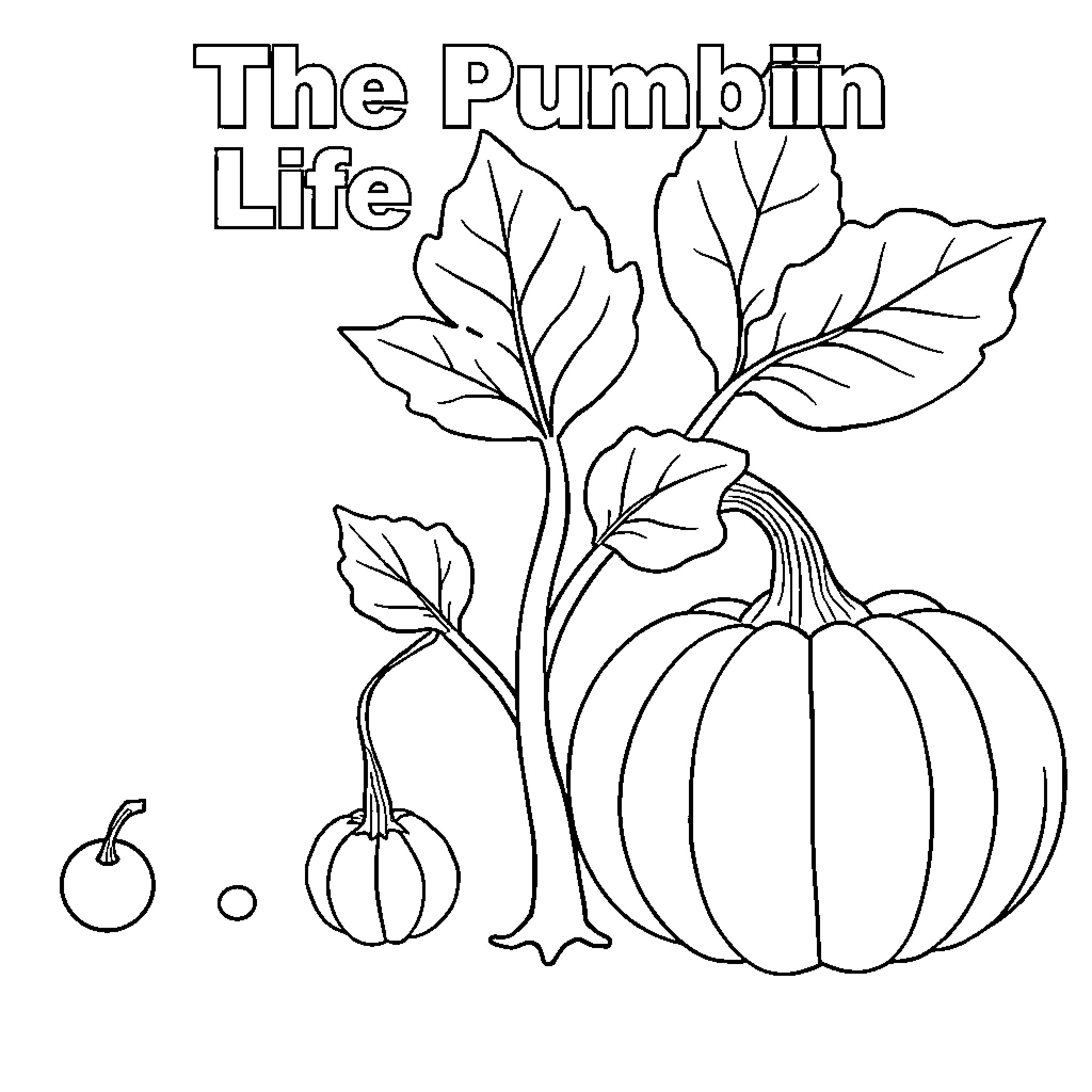 Pumpkin Life Cycle Illustration Coloring Page (free black-and-white line drawing printable PDF for all, from beginners to advanced learners, including children, teens, adults, and seniors)