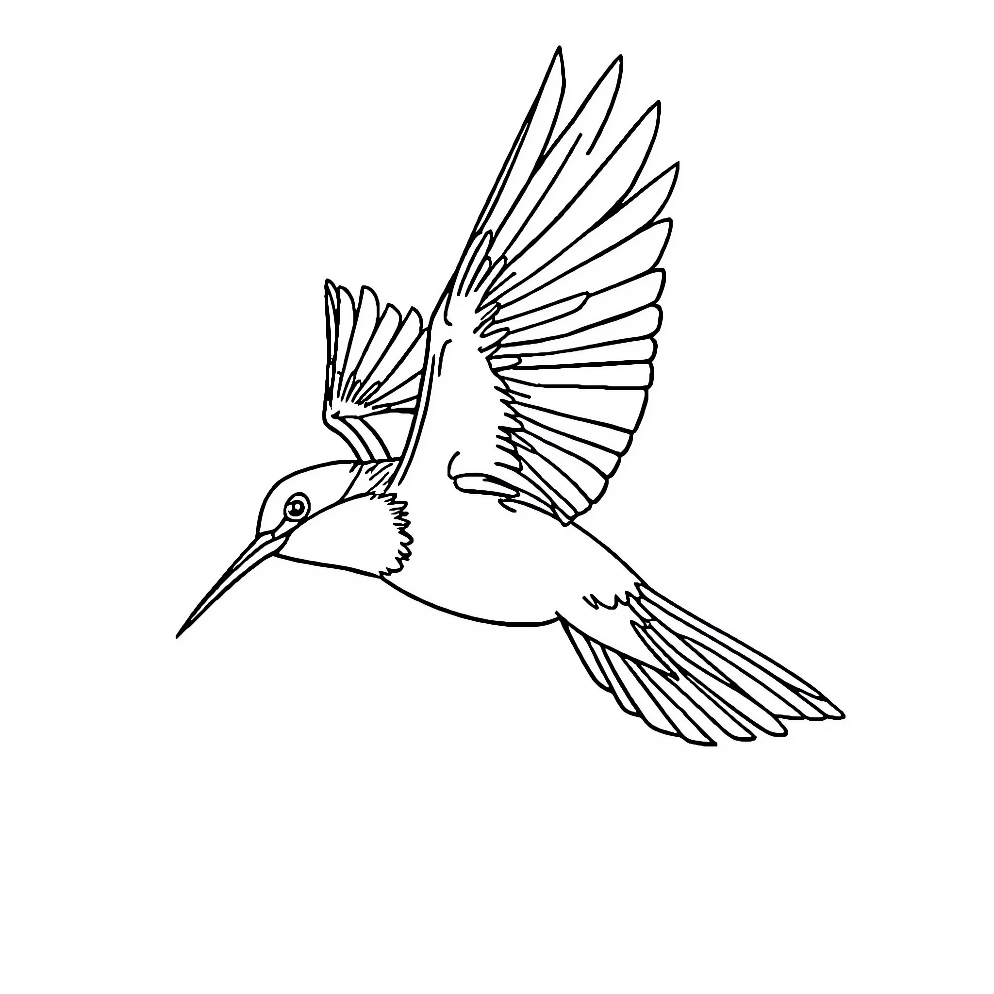 Bird in flight with outstretched wings Coloring Page (free black-and-white line drawing printable PDF for all, from beginners to advanced learners, including children, teens, adults, and seniors)
