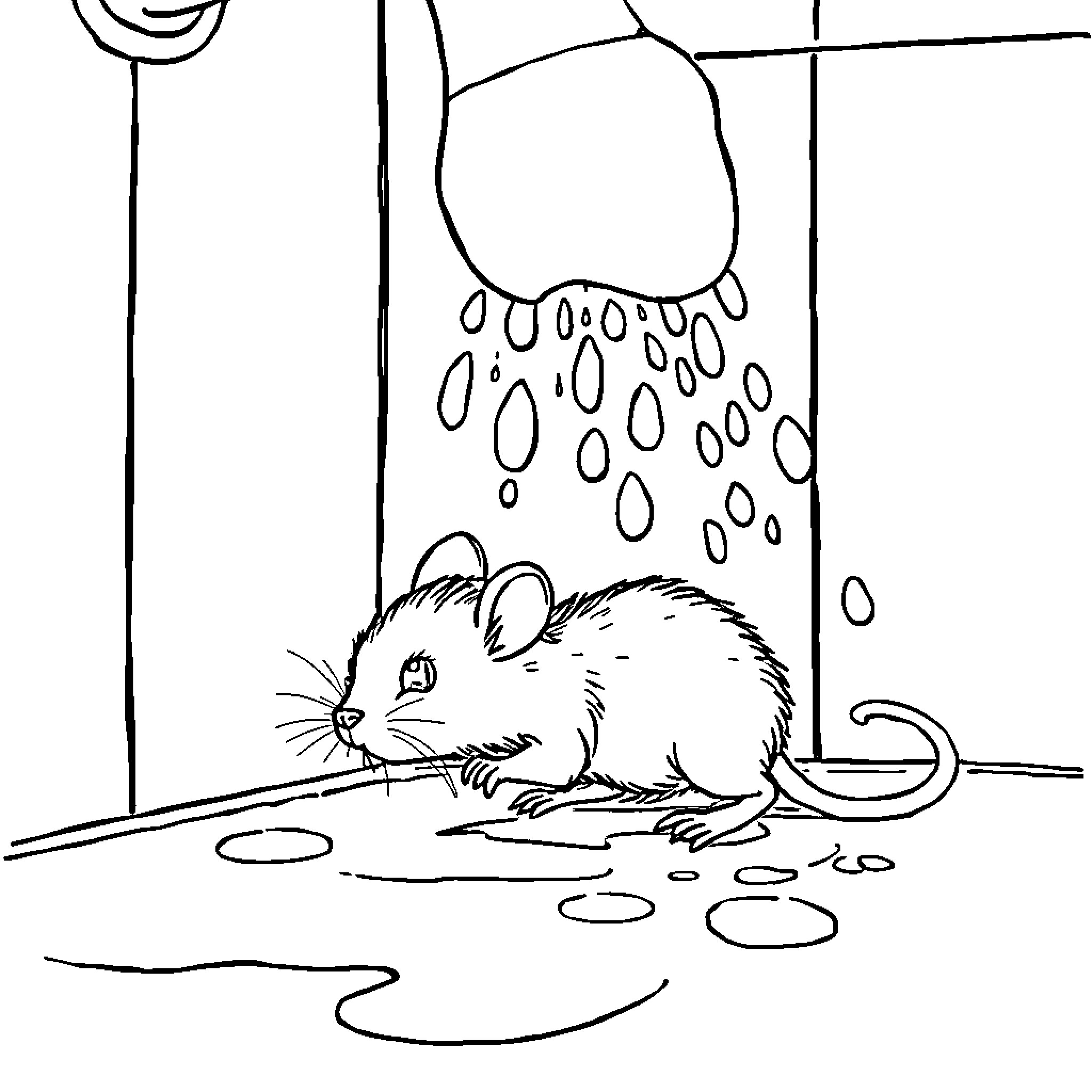 Mouse taking shower under raindrops in sink Coloring Page (free black-and-white line drawing printable PDF for all, from beginners to advanced learners, including children, teens, adults, and seniors)