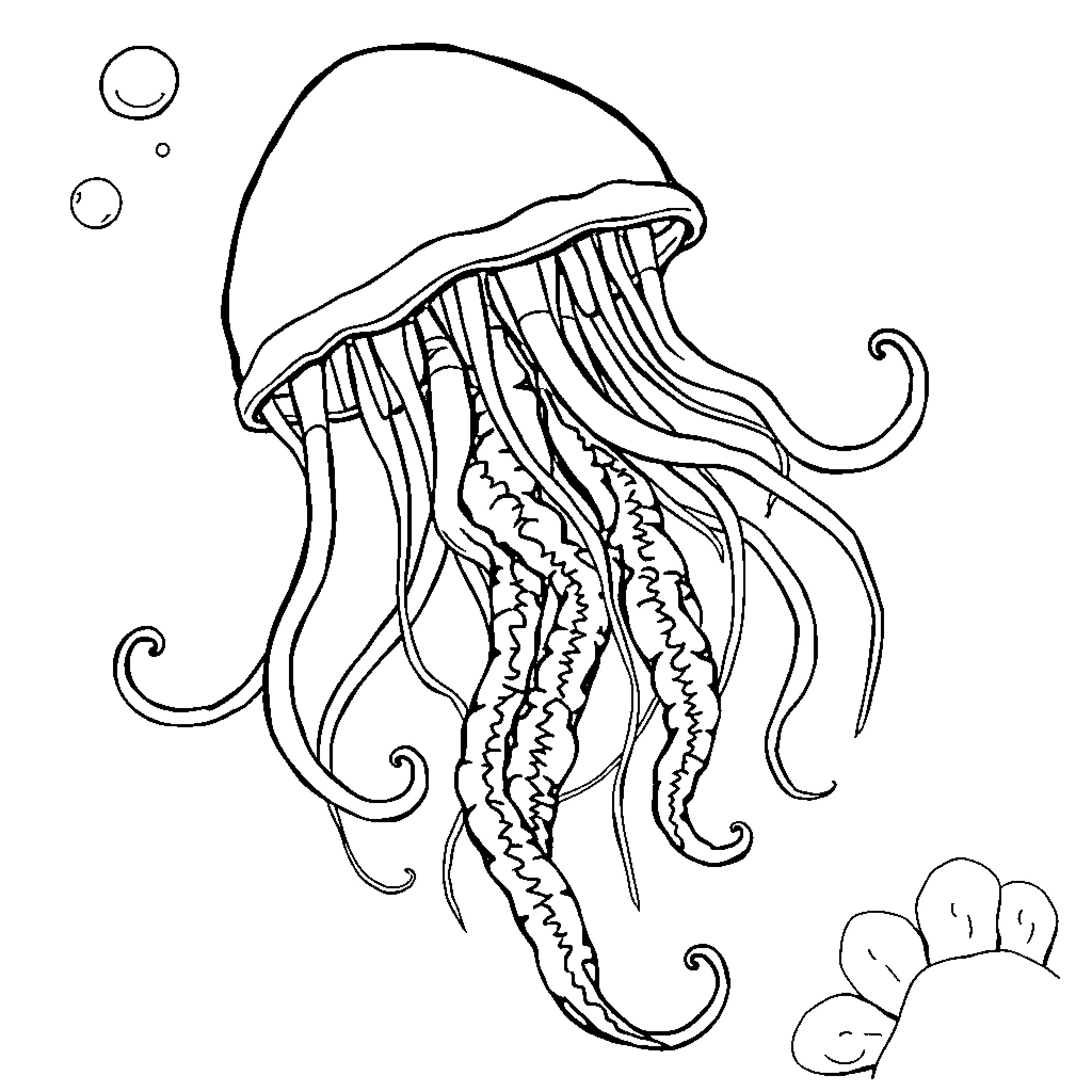 Jellyfish swimming gracefully in the ocean Coloring Page (free black-and-white line drawing printable PDF for all, from beginners to advanced learners, including children, teens, adults, and seniors)