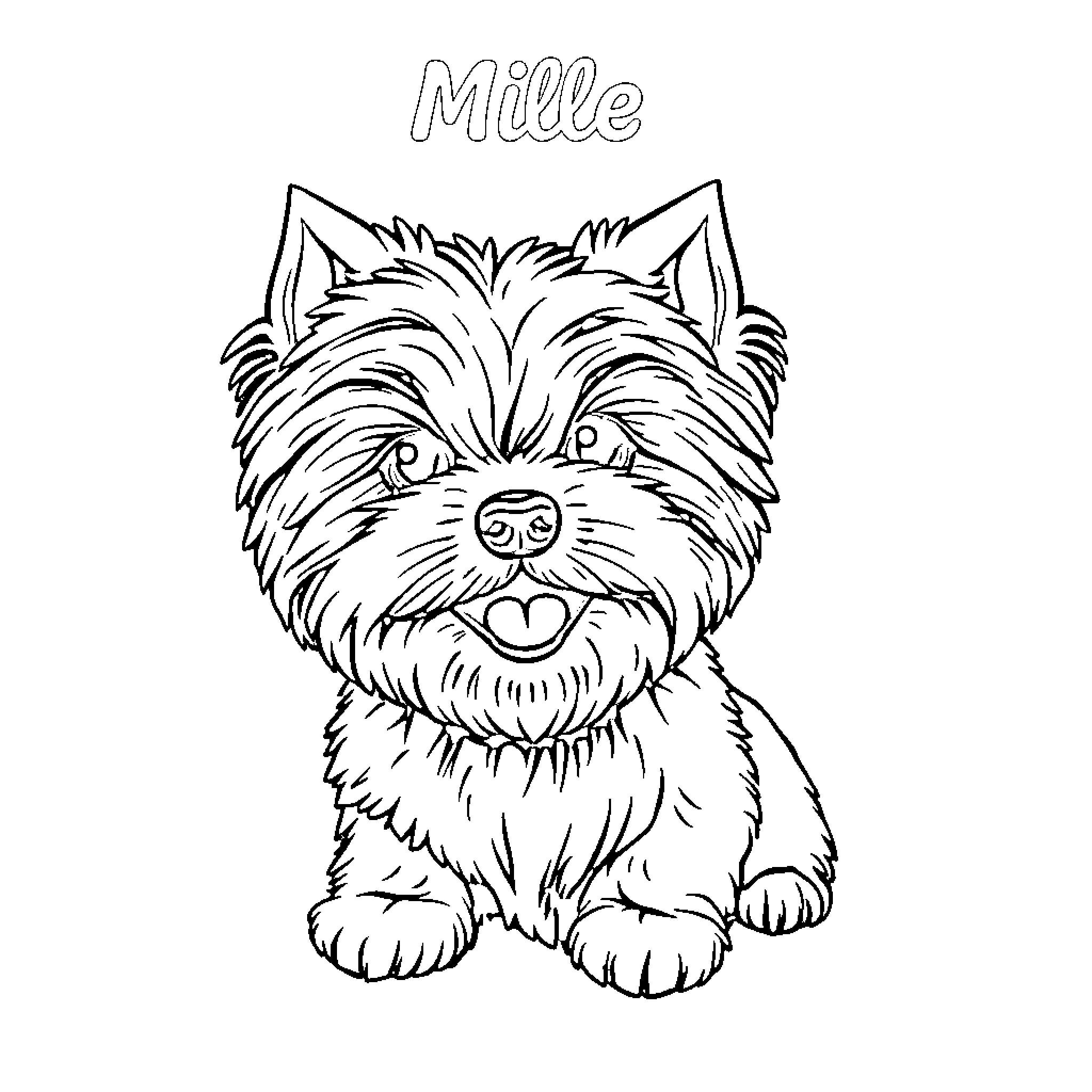 Maltese dog looking happy and content Coloring Page (free black-and-white line drawing printable PDF for all, from beginners to advanced learners, including children, teens, adults, and seniors)