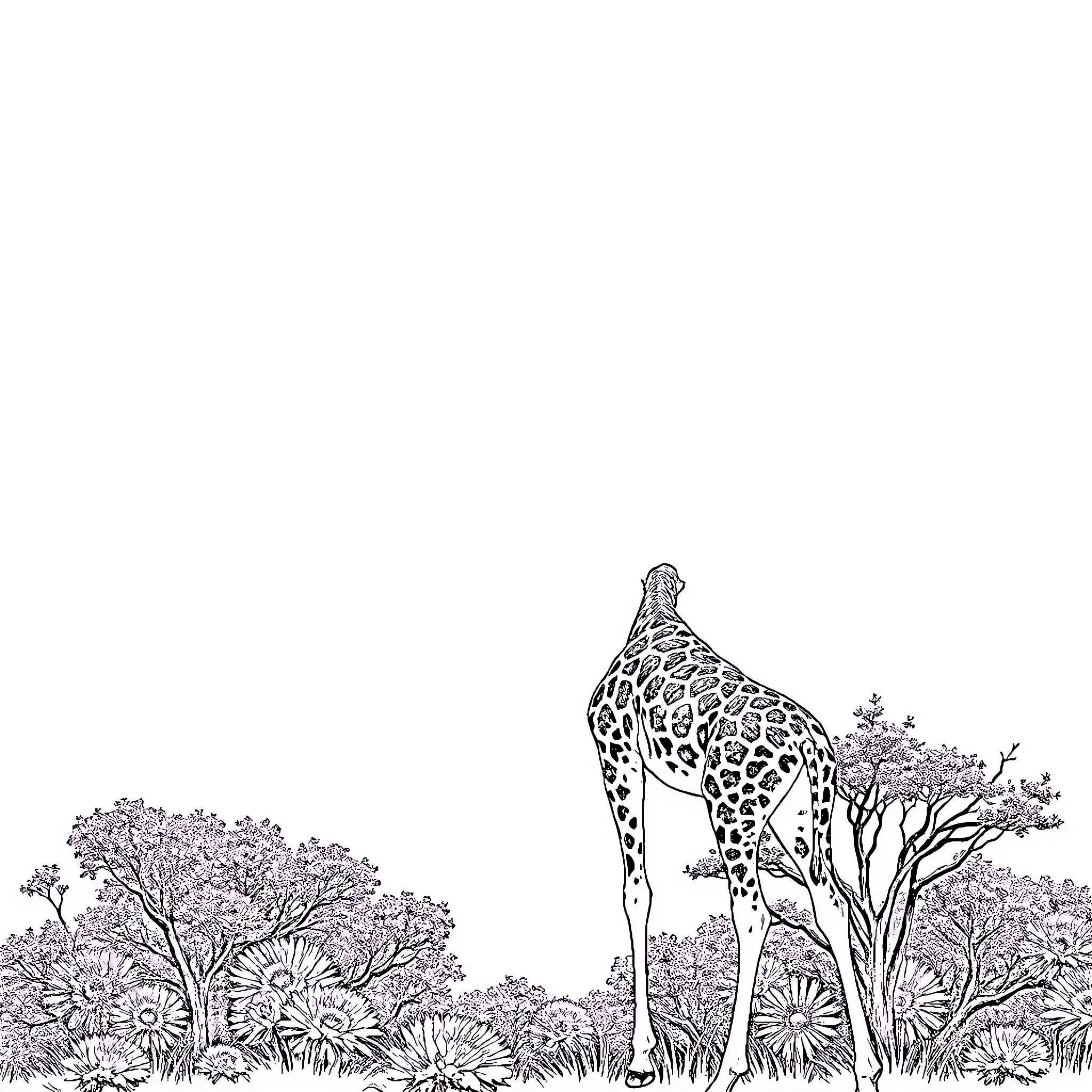 Giraffe standing among flowering plants Coloring Page (free black-and-white line drawing printable PDF for all, from beginners to advanced learners, including children, teens, adults, and seniors)