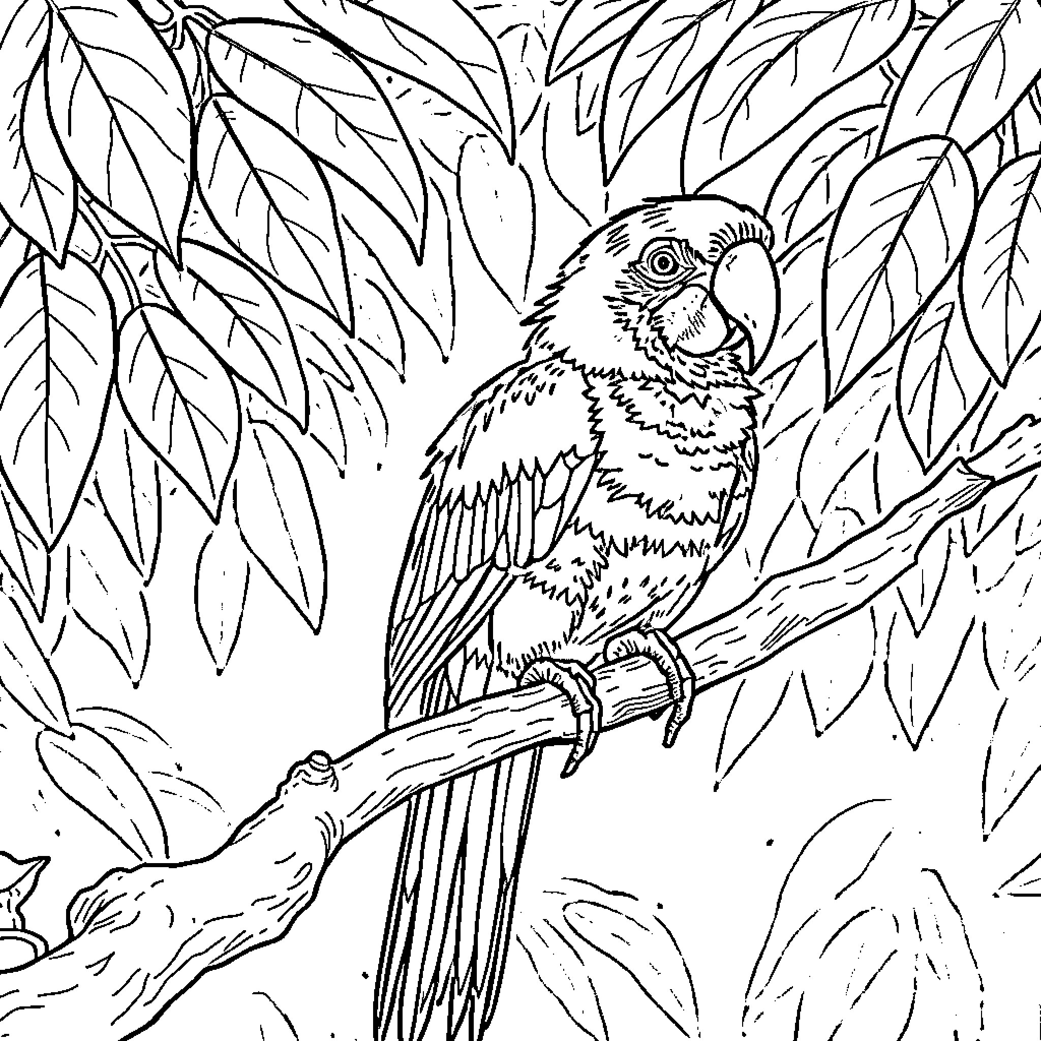 Parrot perched in lush foliage Coloring Page (free black-and-white line drawing printable PDF for all, from beginners to advanced learners, including children, teens, adults, and seniors)