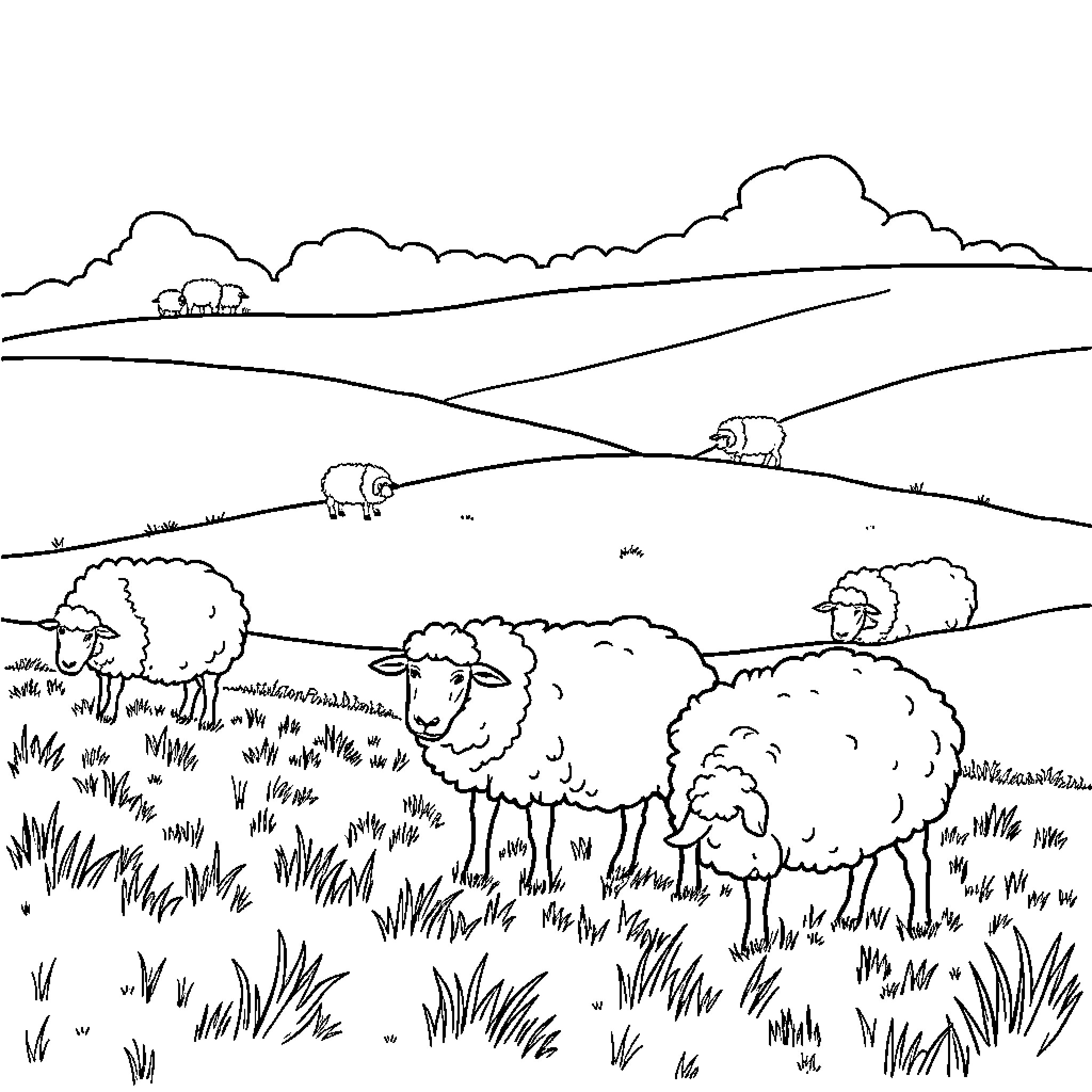 Sheep Grazing Peacefully in Idyllic Countryside Coloring Page (free black-and-white line drawing printable PDF for all, from beginners to advanced learners, including children, teens, adults, and seniors)