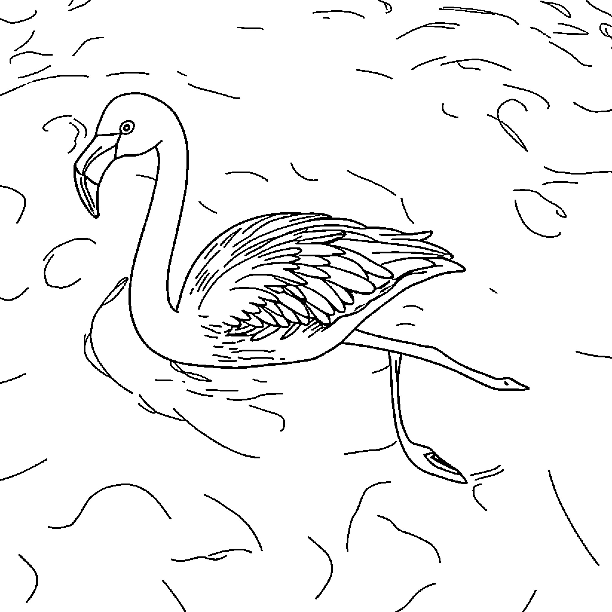 Flamingo gracefully wading through the waters Coloring Page (free black-and-white line drawing printable PDF for all, from beginners to advanced learners, including children, teens, adults, and seniors)