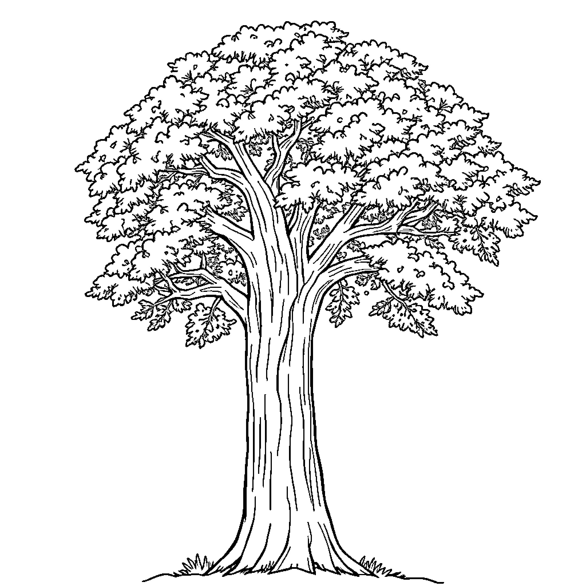Tree with Lush Foliage Coloring Page (free black-and-white line drawing printable PDF for all, from beginners to advanced learners, including children, teens, adults, and seniors)