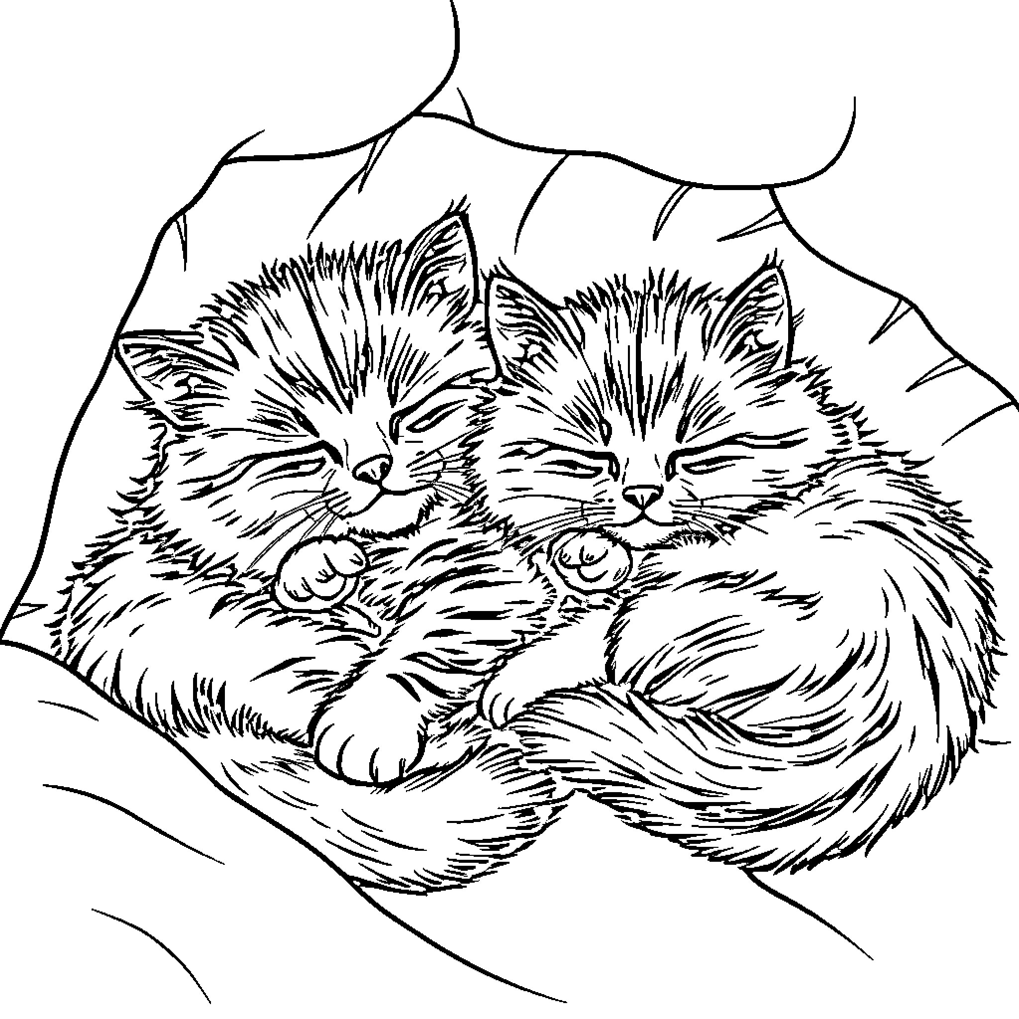 Cat Kittens Snuggling Happily Coloring Page (free black-and-white line drawing printable PDF for all, from beginners to advanced learners, including children, teens, adults, and seniors)