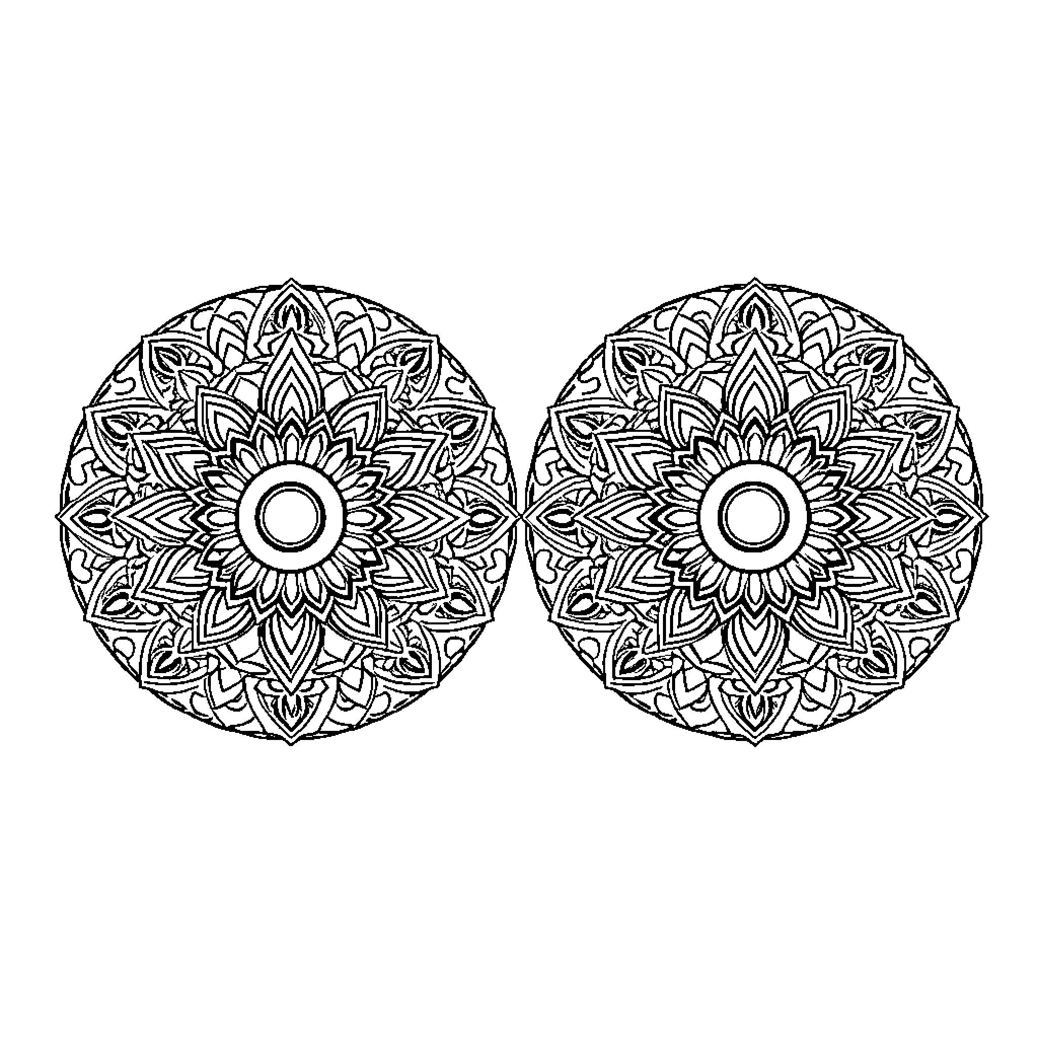Mandala with intricate floral patterns and symmetrical designs Coloring Page (free black-and-white line drawing printable PDF for all, from beginners to advanced learners, including children, teens, adults, and seniors)